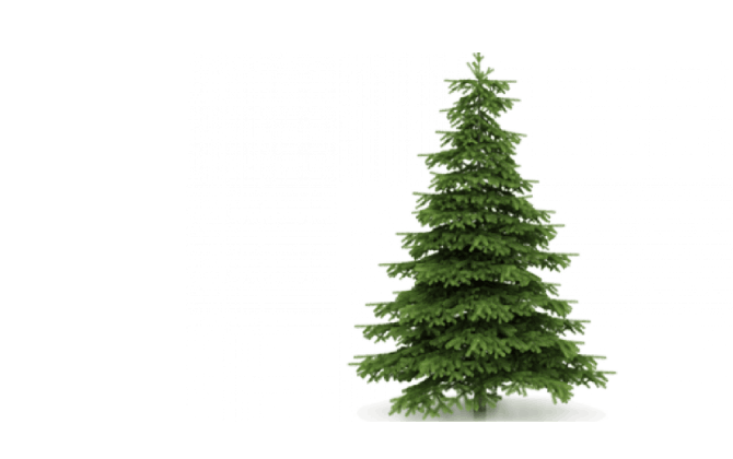 Christmas - All things Christmas