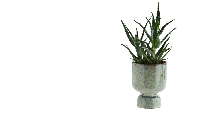 Faux Plants & Pots - Simplicity with an accent on 20th century design…