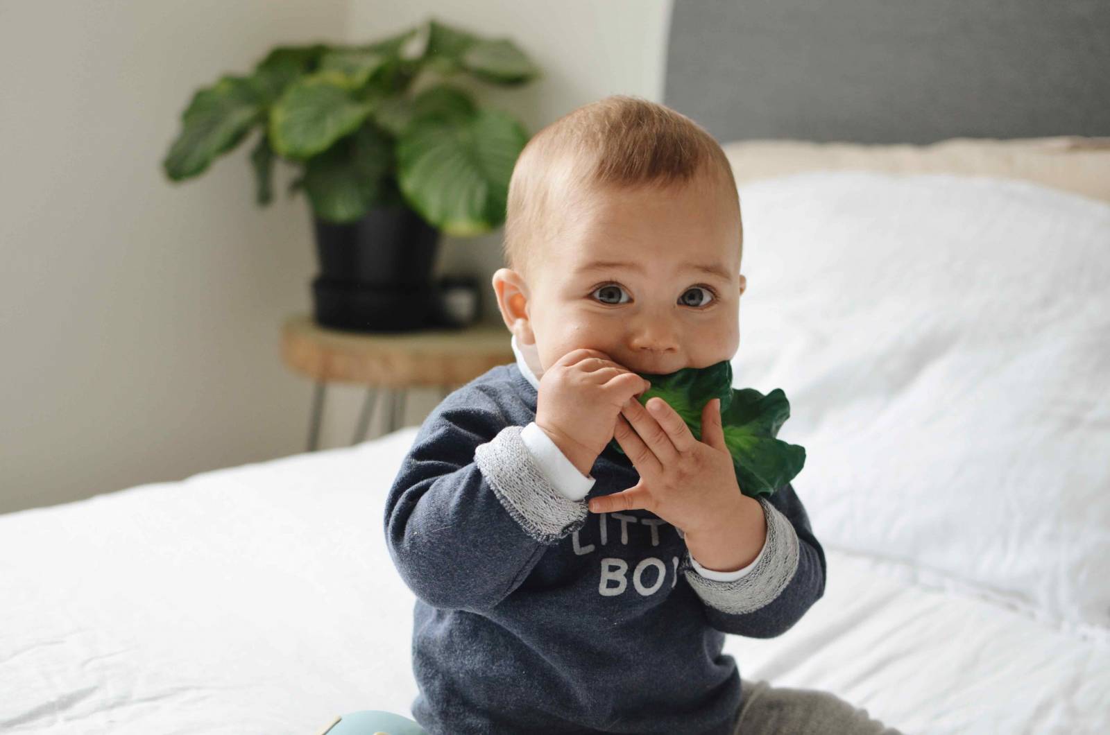 Kendall The Kale - Natural Rubber Teething Toy 0+ thumbnails