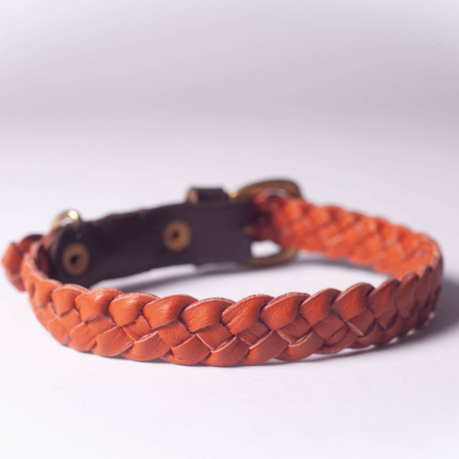 Windsor Leather Dog Collar In Ochre - Medium thumbnails