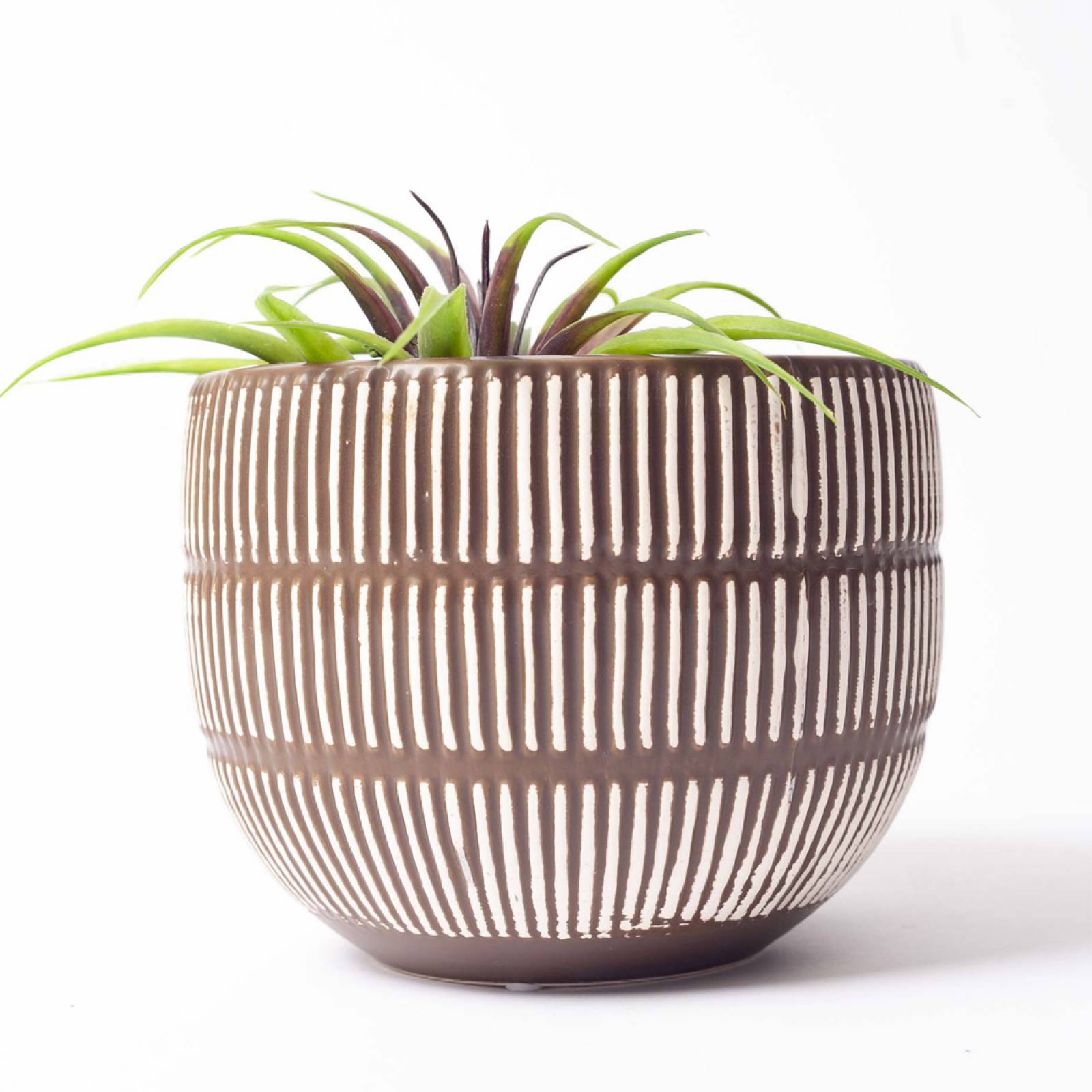 Aiva Embossed Striped Flower Pot H:12.5cm thumbnails