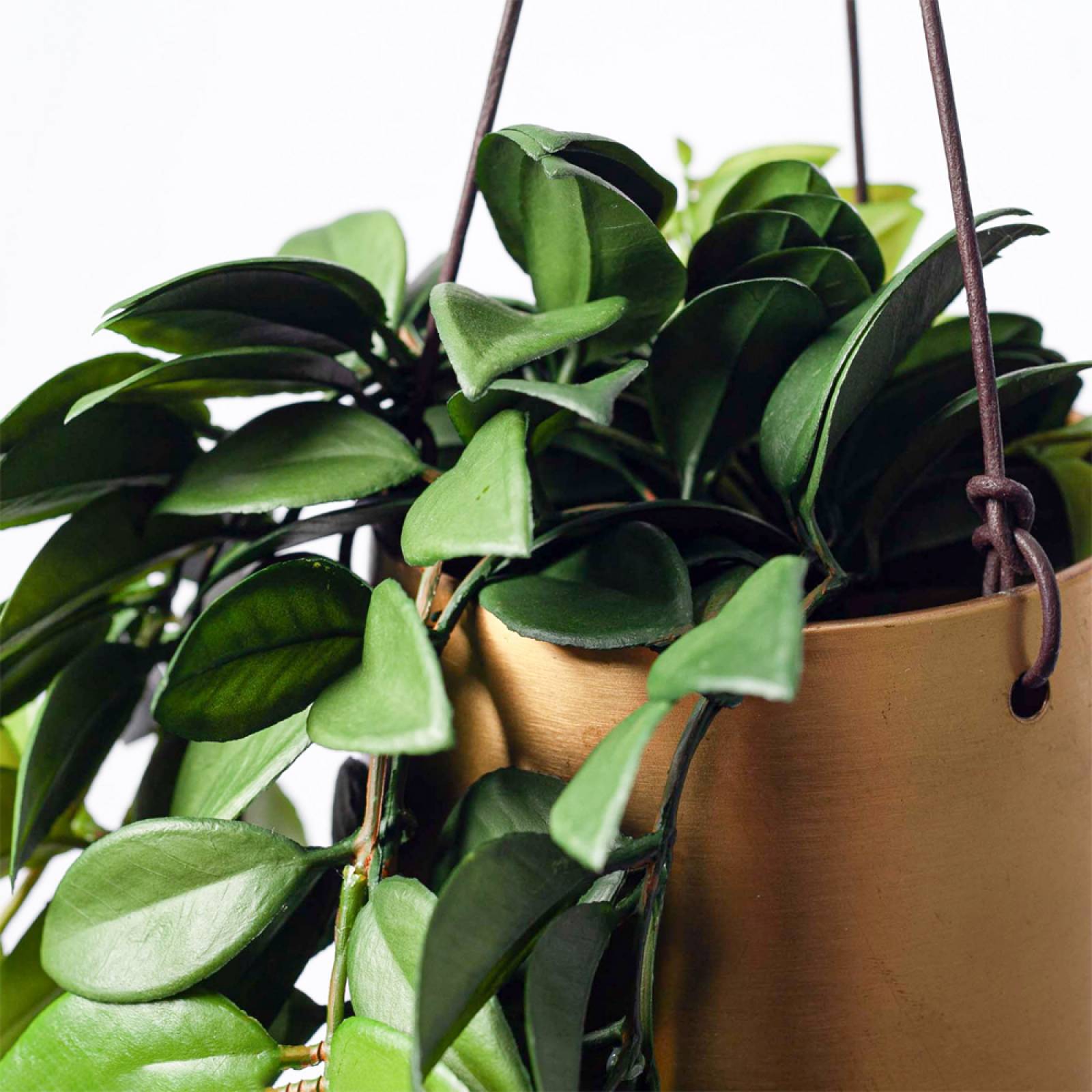 Atsu Large Brass Hanging Planter 12.5x14cm thumbnails