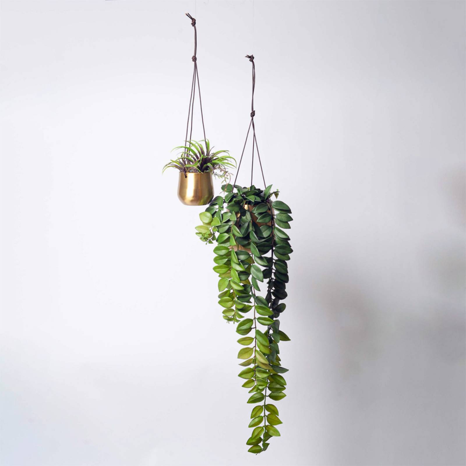 Atsu Large Brass Hanging Planter 12.5x14cm thumbnails