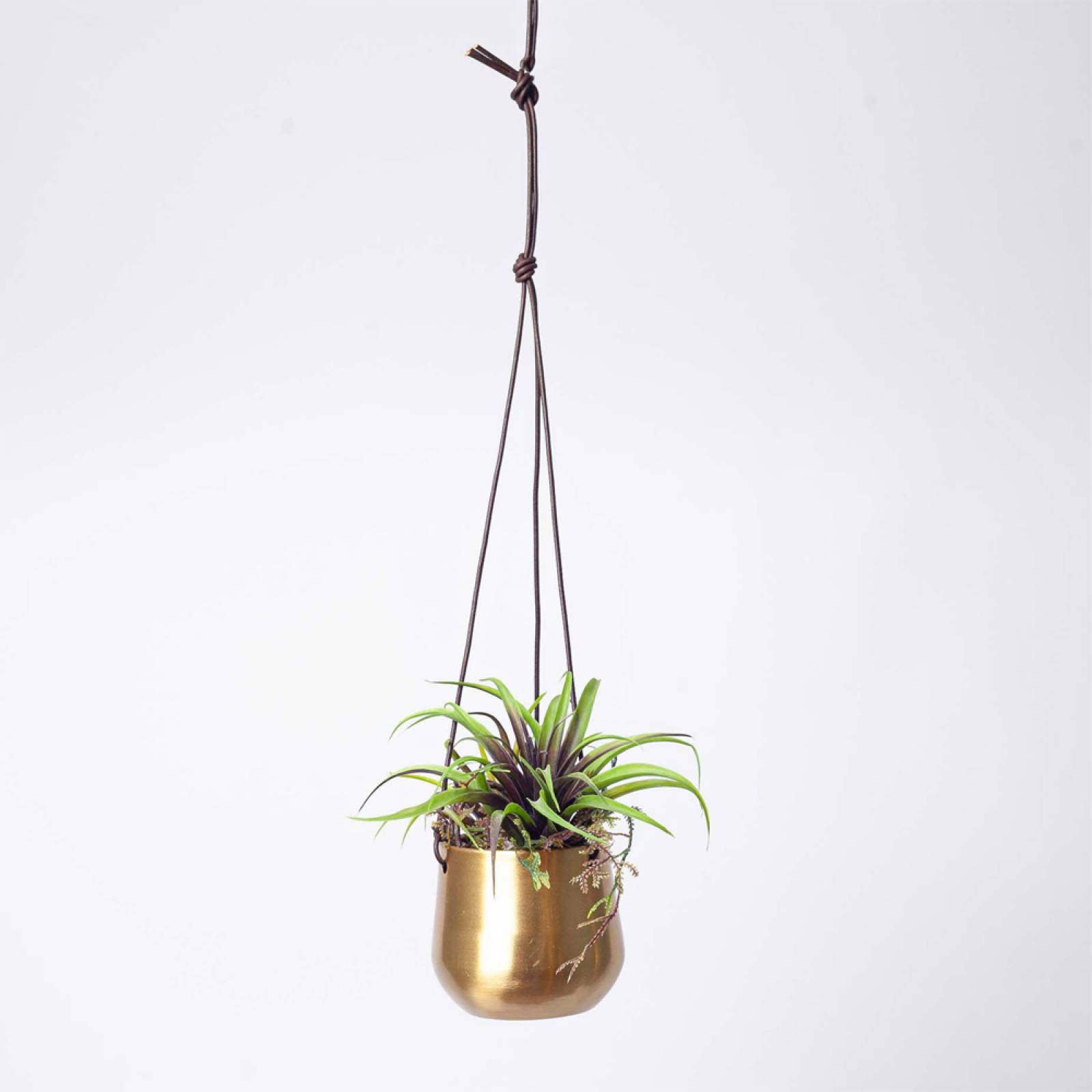 Atsu Small Brass Hanging Planter 9x11cm thumbnails