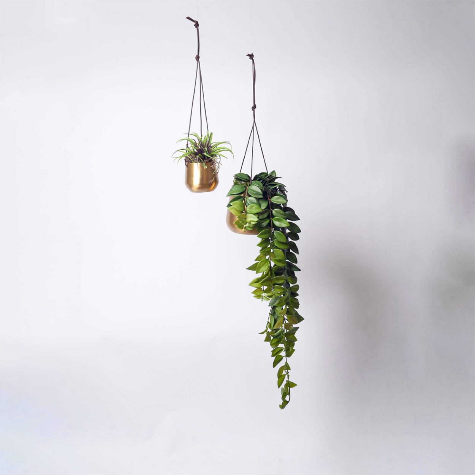 Atsu Small Brass Hanging Planter 9x11cm thumbnails