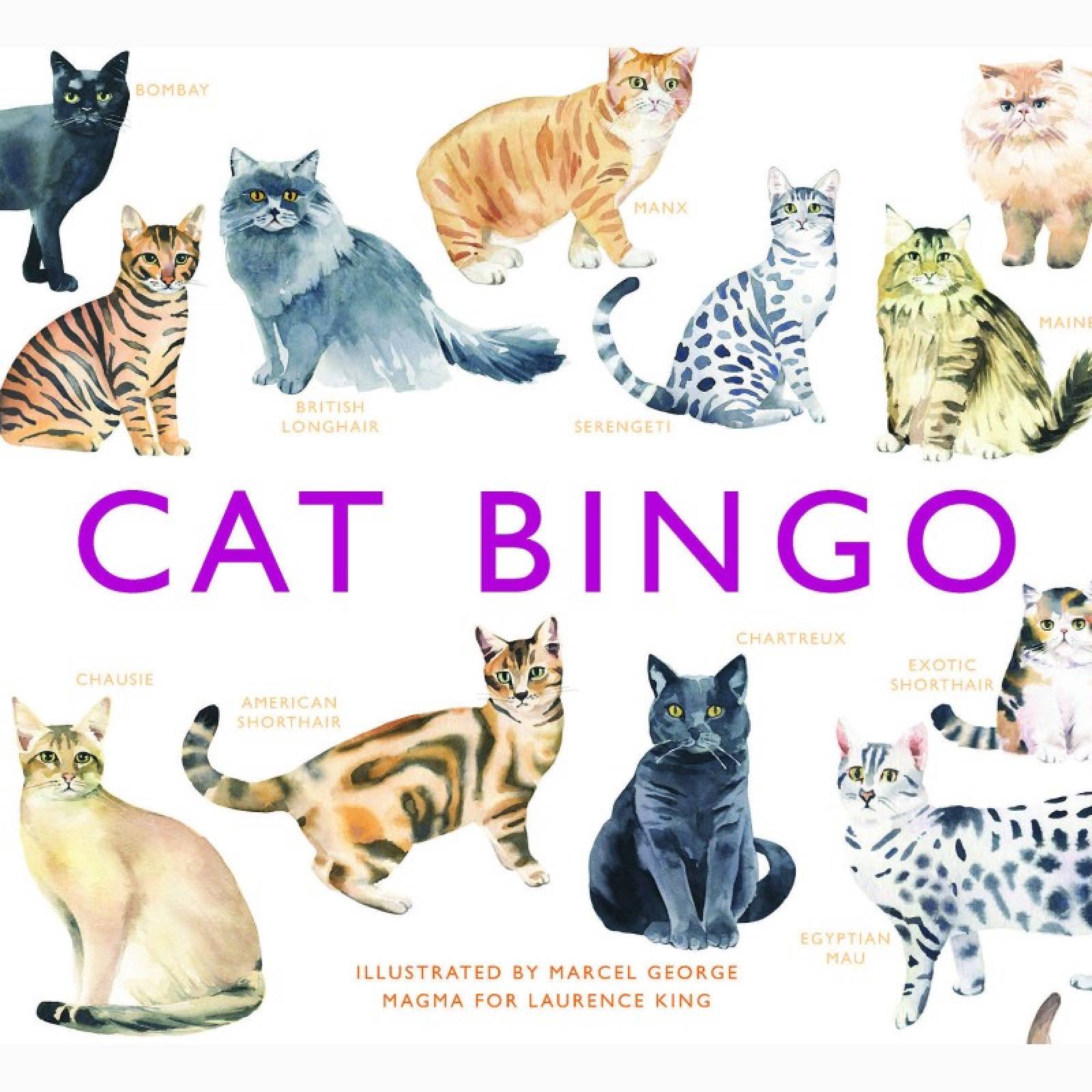 Cat Bingo Game 6+