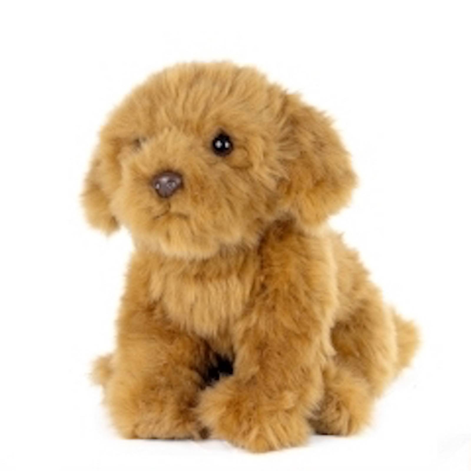 Cavapoo Puppy Soft Toy Dog 0+