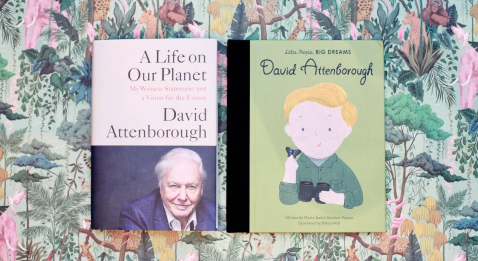 David Attenborough: Little People, Big Dreams - Hardback Book thumbnails
