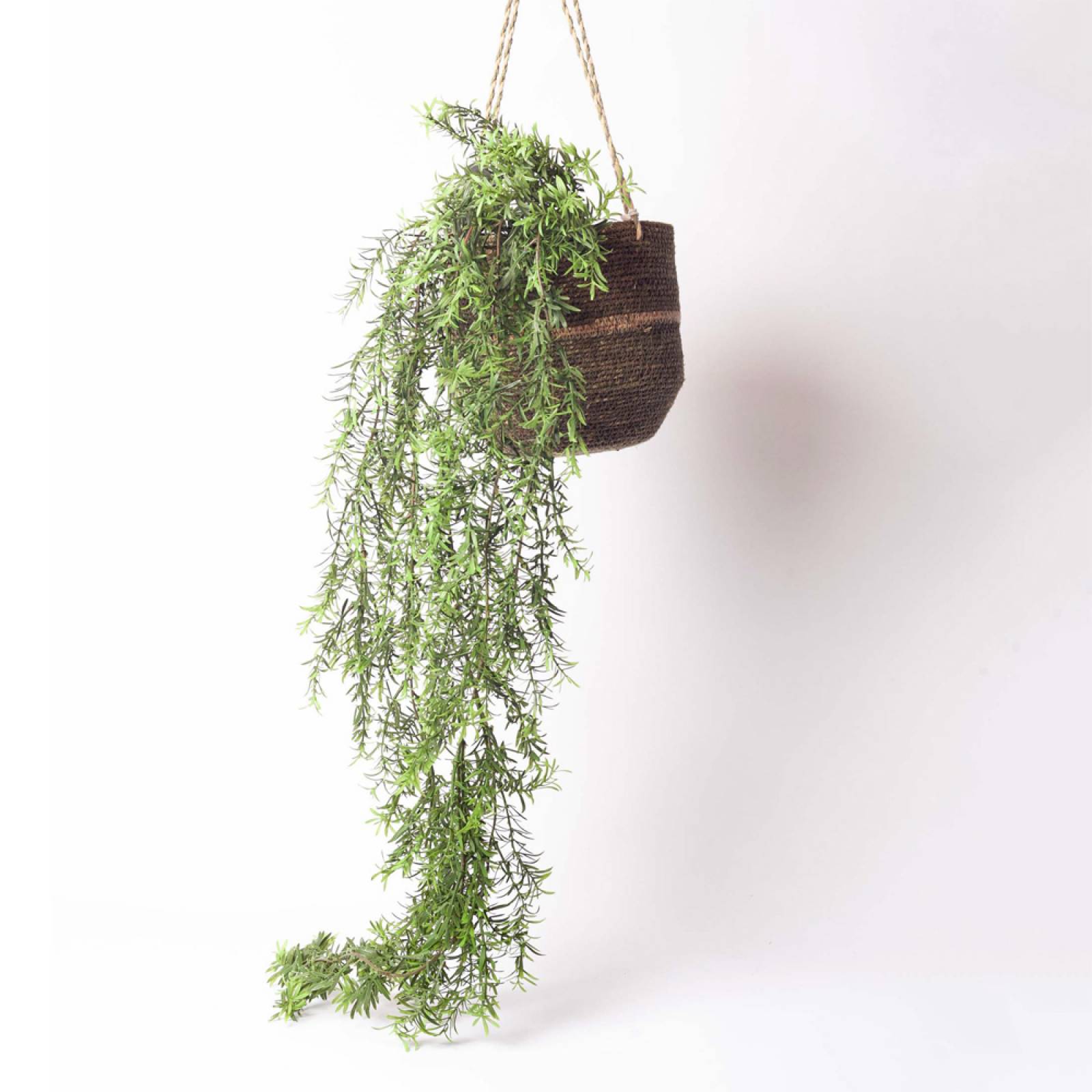 Faux Asparagus Hanging Trailing Plant