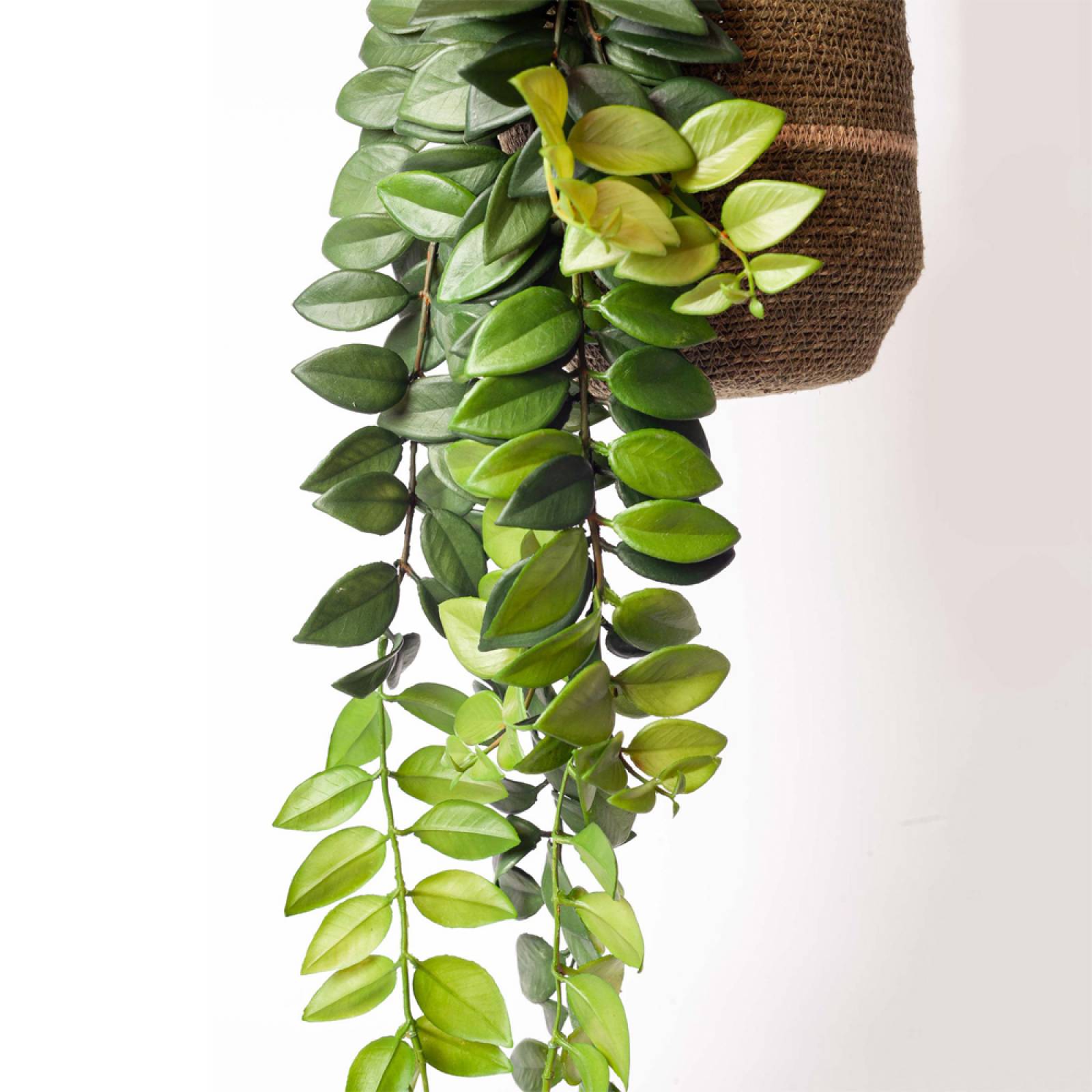 Faux Green Leaf Hanging Trailing Plant thumbnails