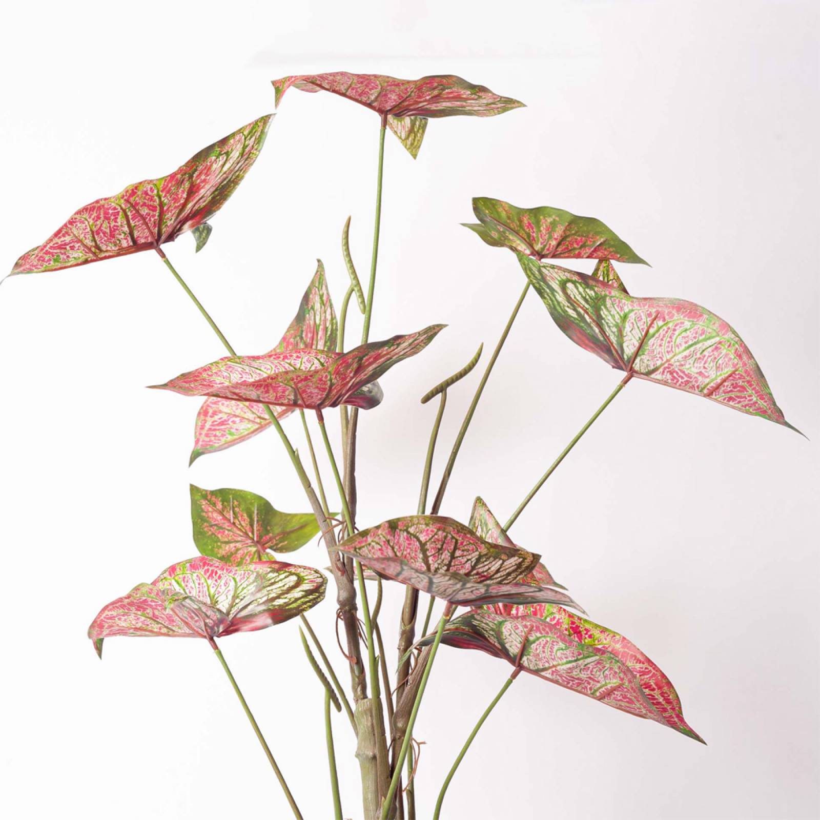 Faux Pink Caladium Plant In Pot thumbnails