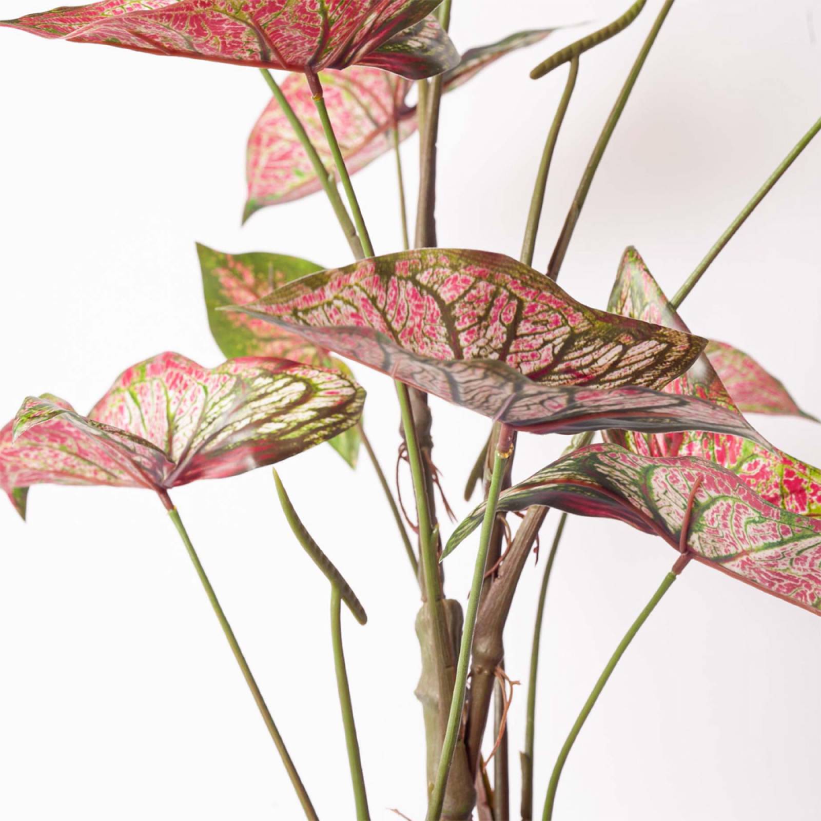 Faux Pink Caladium Plant In Pot thumbnails
