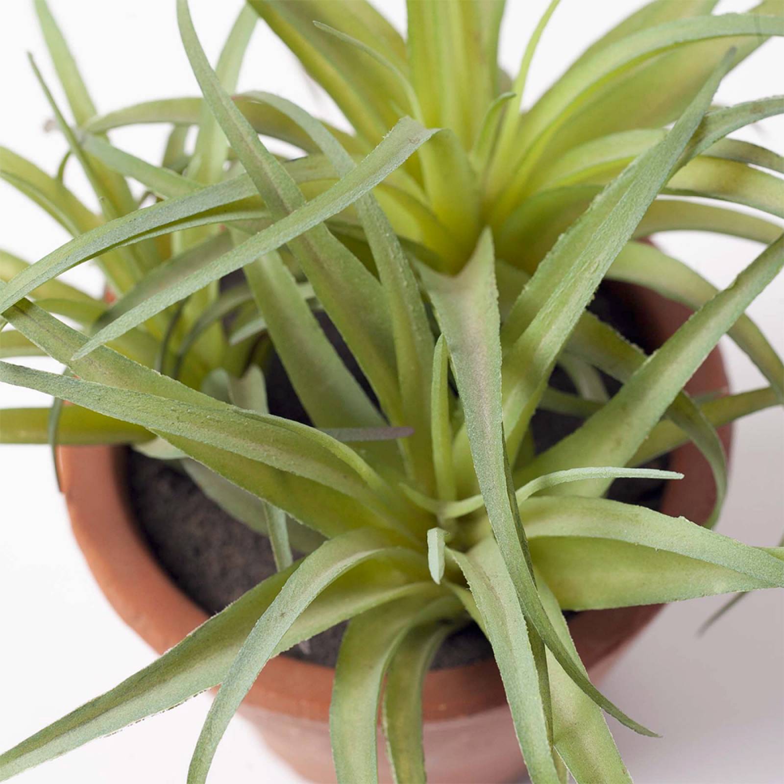 Faux Spider Succulent Plant In Terracotta Pot H:15cm thumbnails