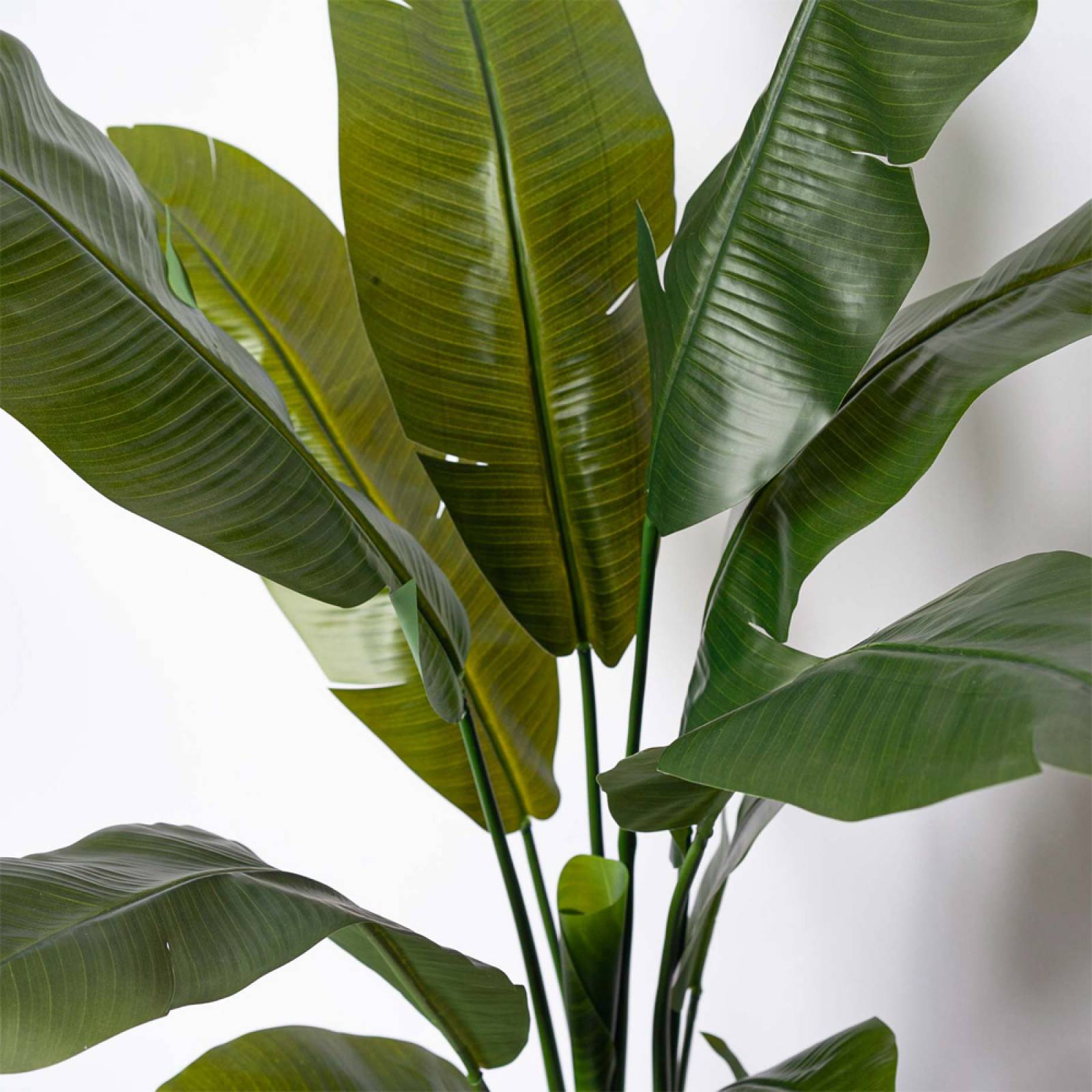 Faux Strelitzia Banana Leaf Plant In Pot thumbnails