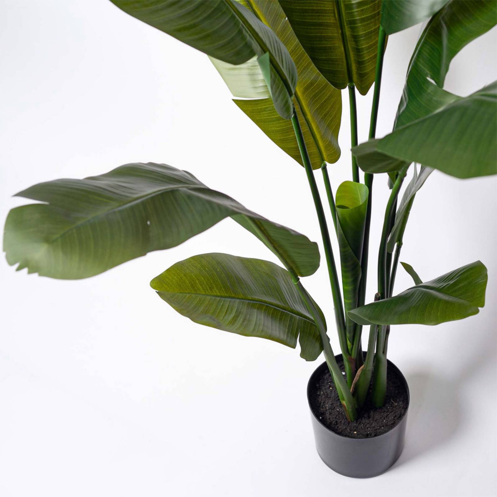 Faux Strelitzia Banana Leaf Plant In Pot thumbnails