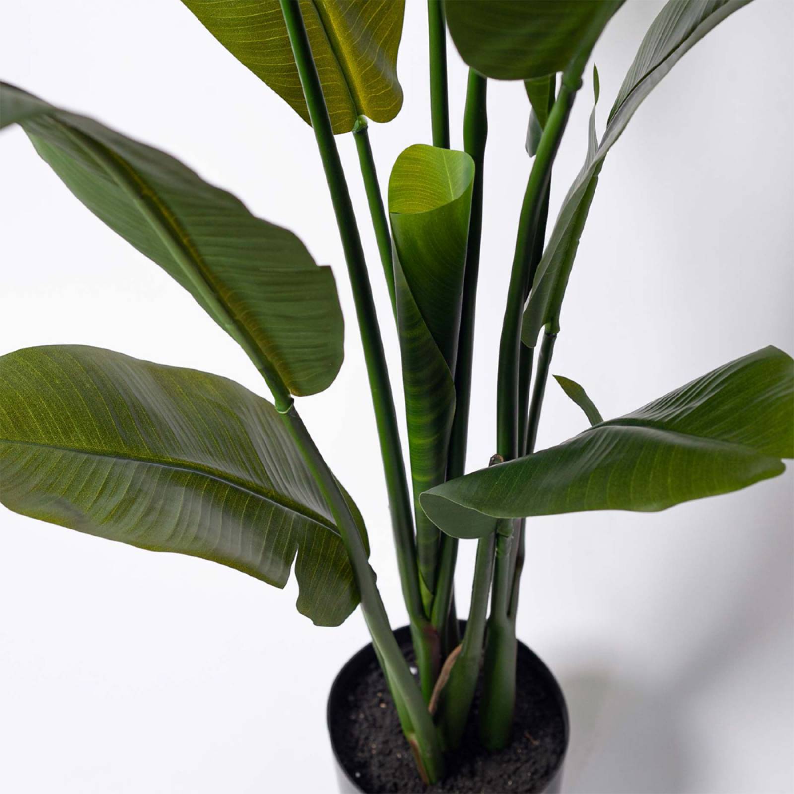 Faux Strelitzia Banana Leaf Plant In Pot thumbnails