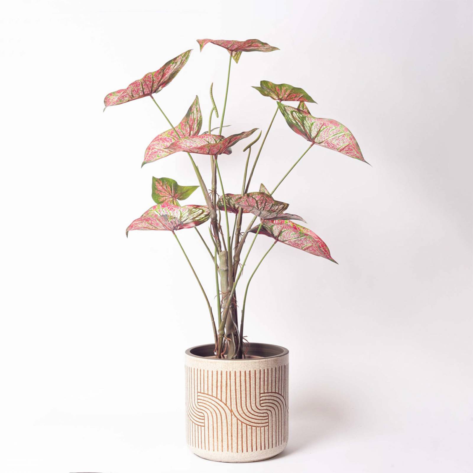 Graphic Flowerpot In Terracotta & White H:20.5cm thumbnails