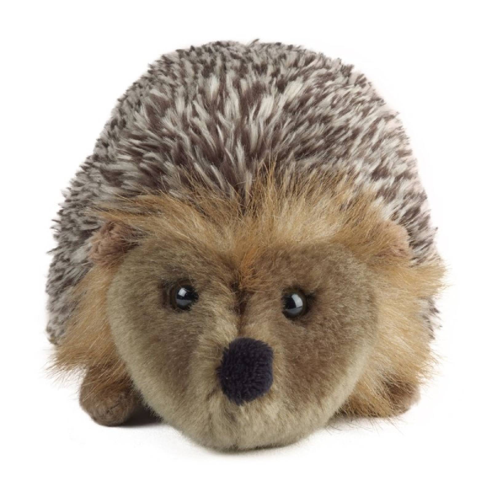 Hedgehog Soft Toy 18cm