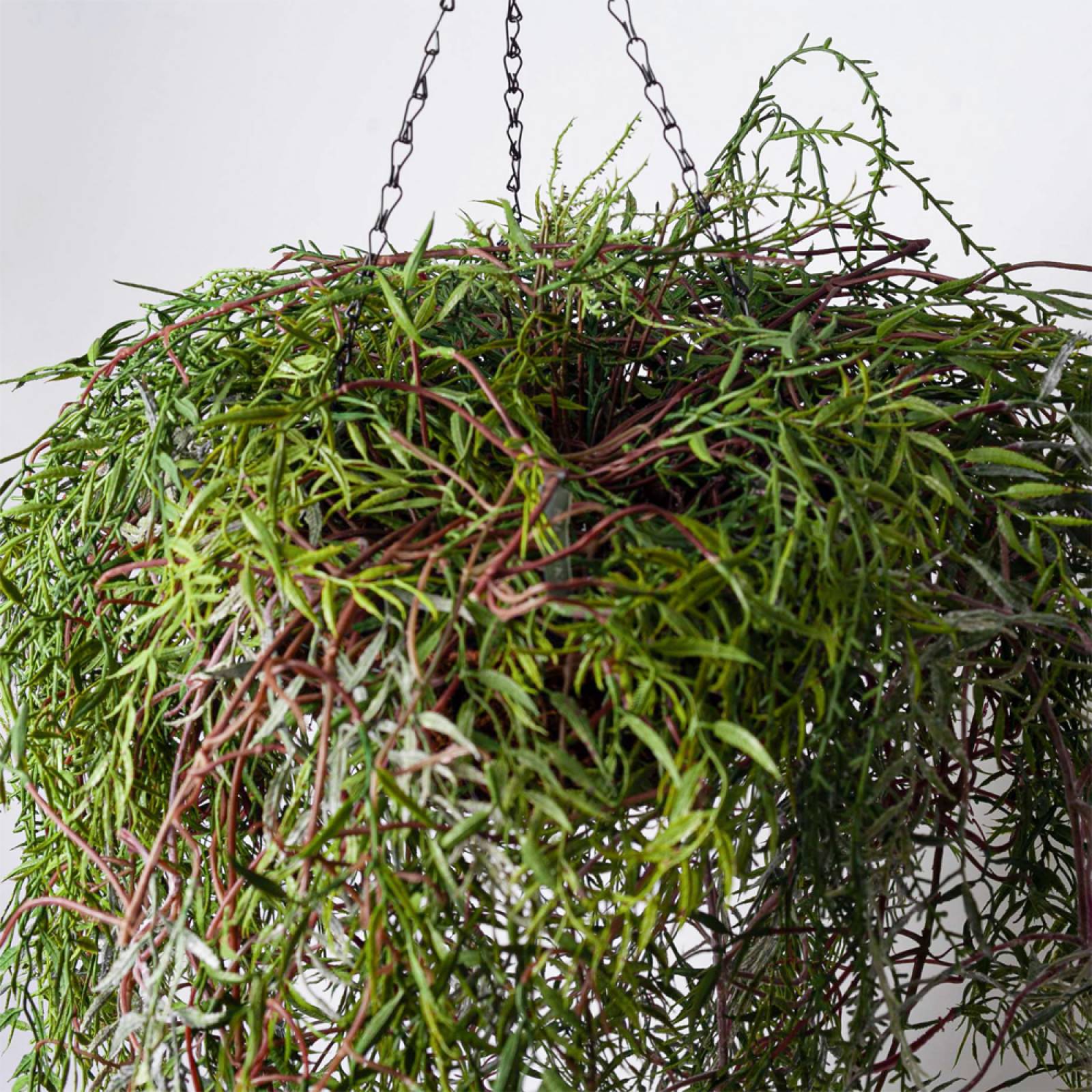 Large Faux Trailing Plant In Hanging Basket thumbnails