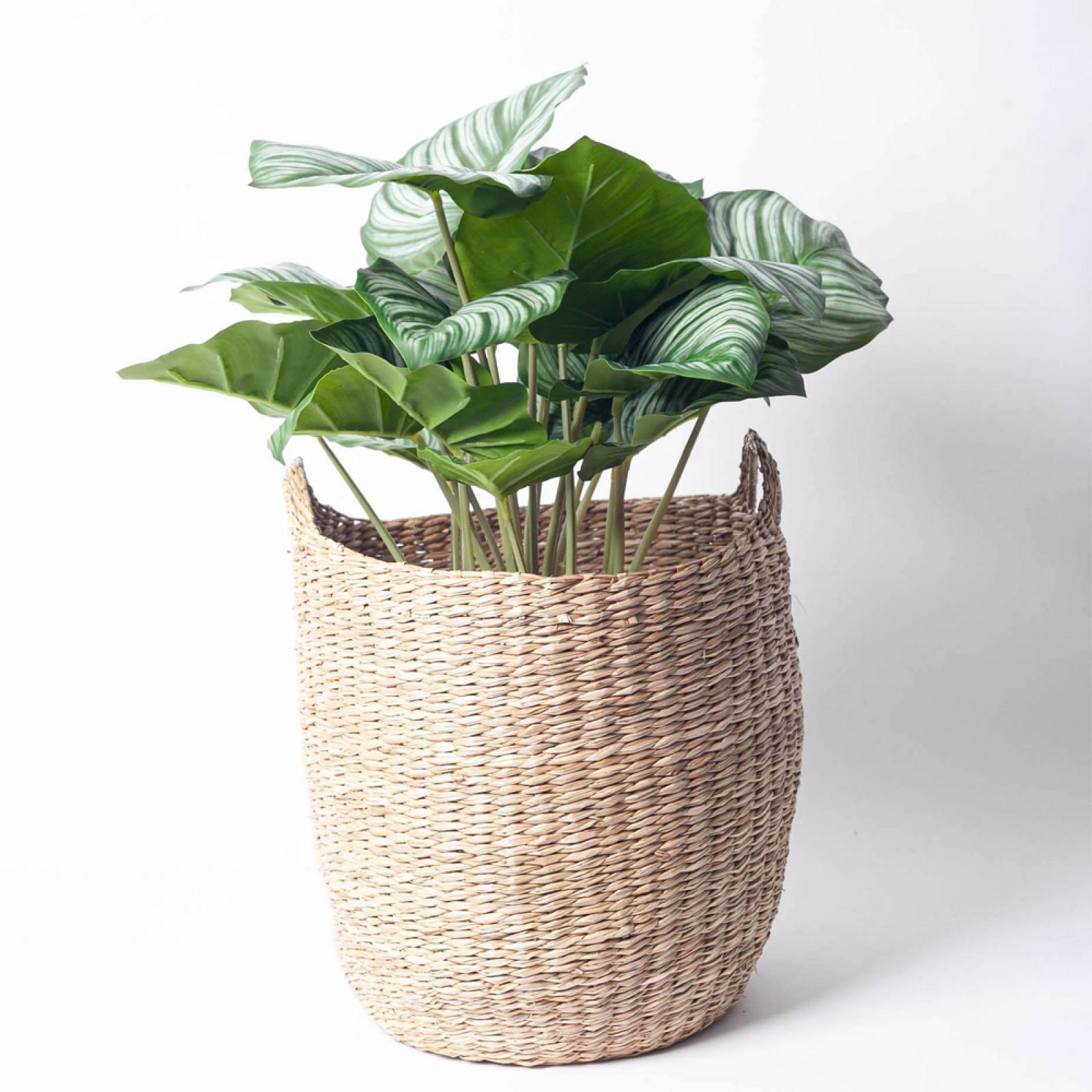 Rounded Woven Seagrass Basket With Handles H:37.5cm thumbnails