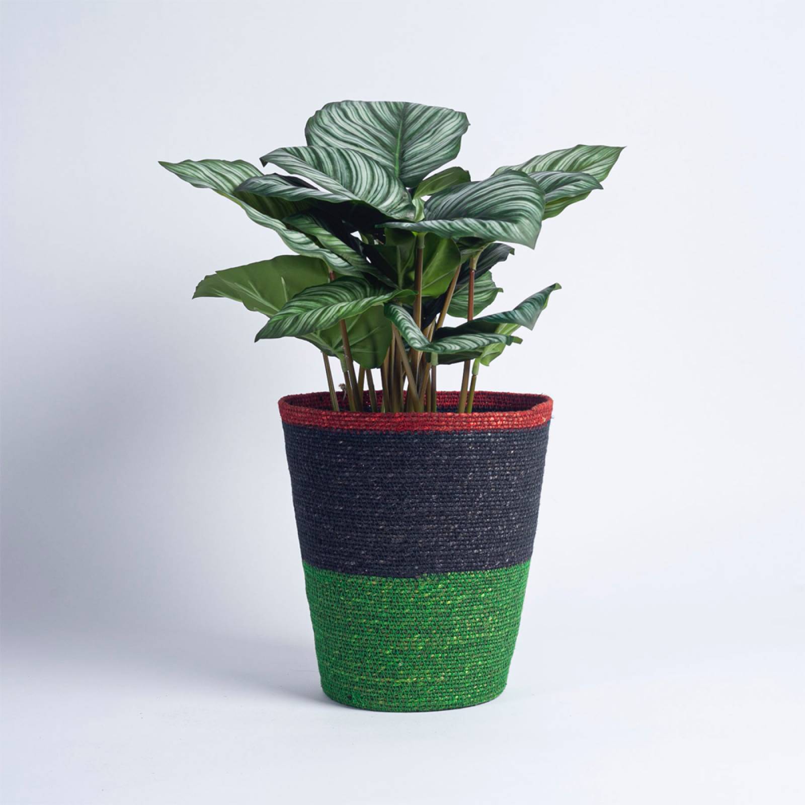 Seagrass Waste Paper Basket in Midnight and Beryl Green