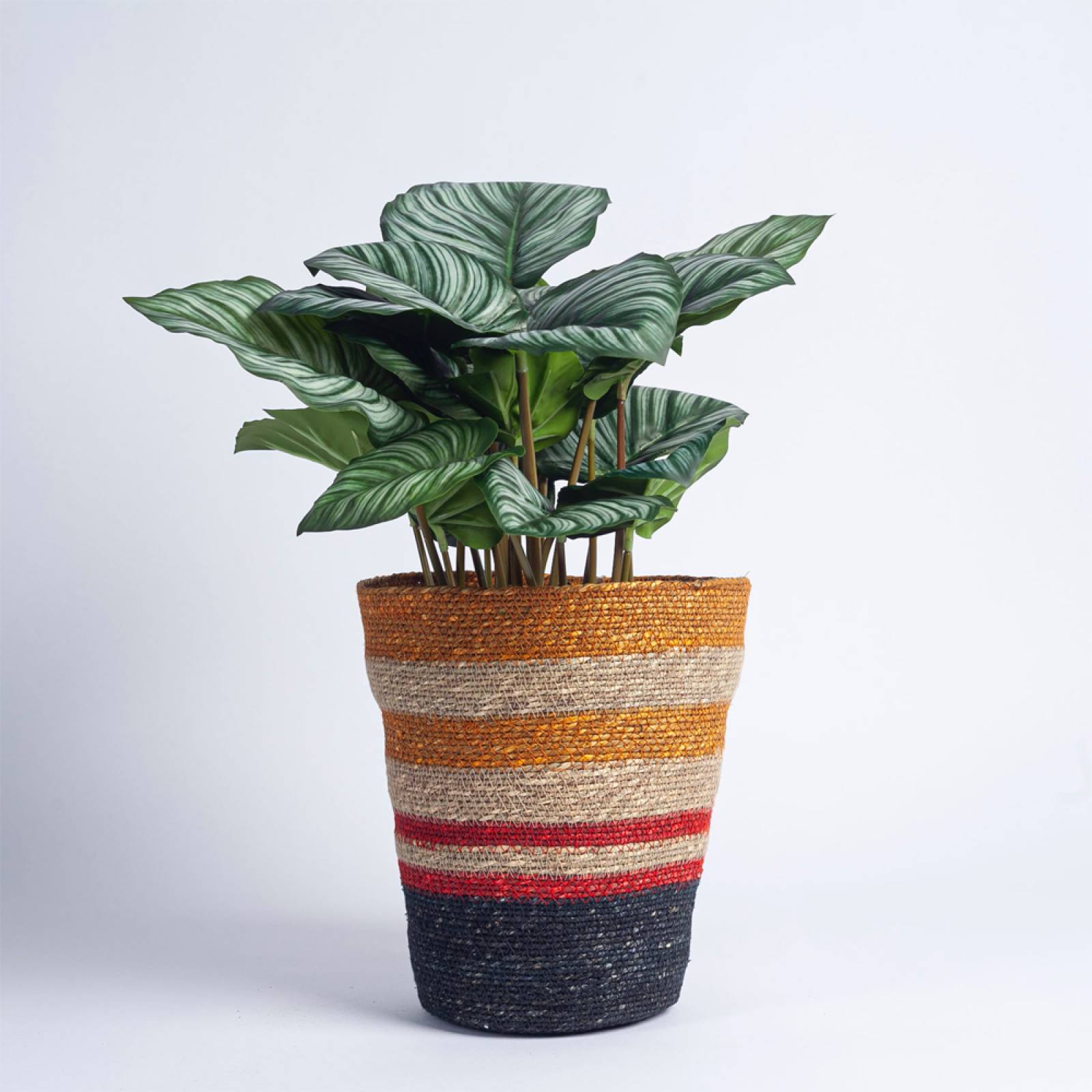 Seagrass Waste Paper Basket in Tuscan & Guardsman thumbnails