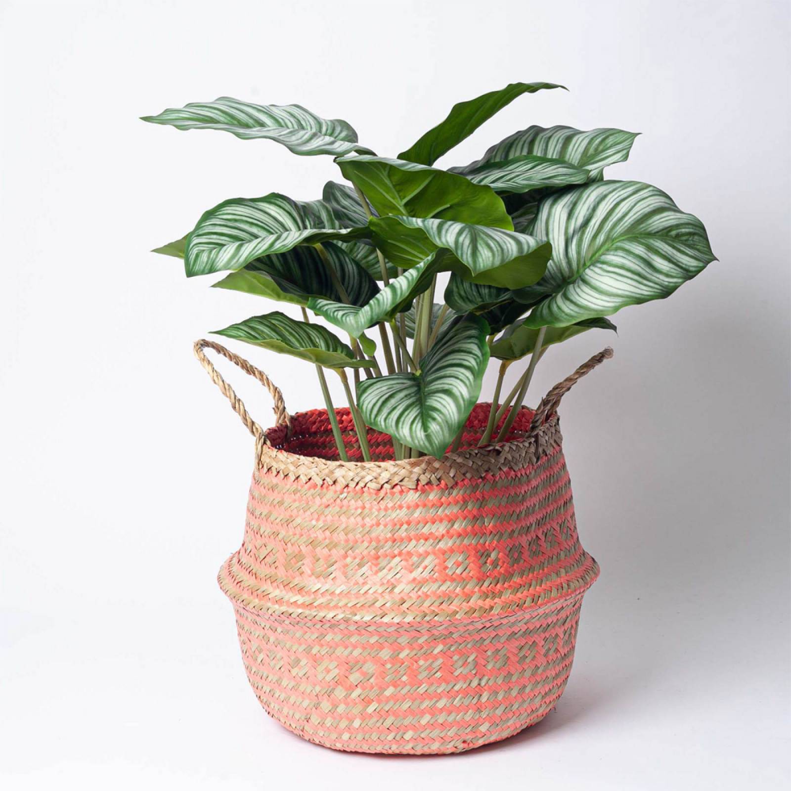 Small Seagrass Storage Basket In Coral thumbnails