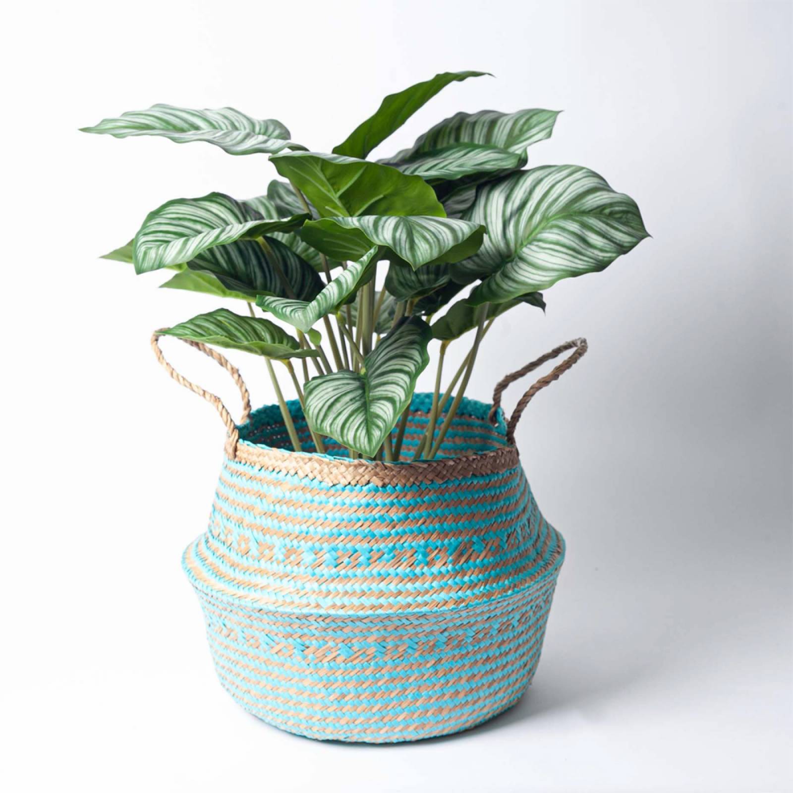 Small Seagrass Storage Basket In Turquoise thumbnails