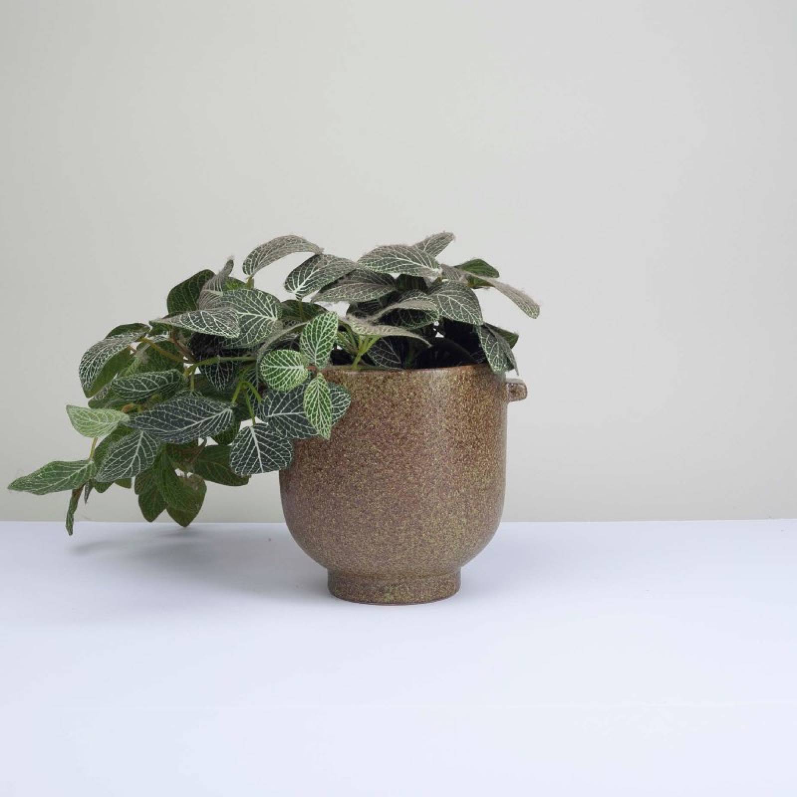 Stoneware Flower Pot With Small Handles In Olive thumbnails