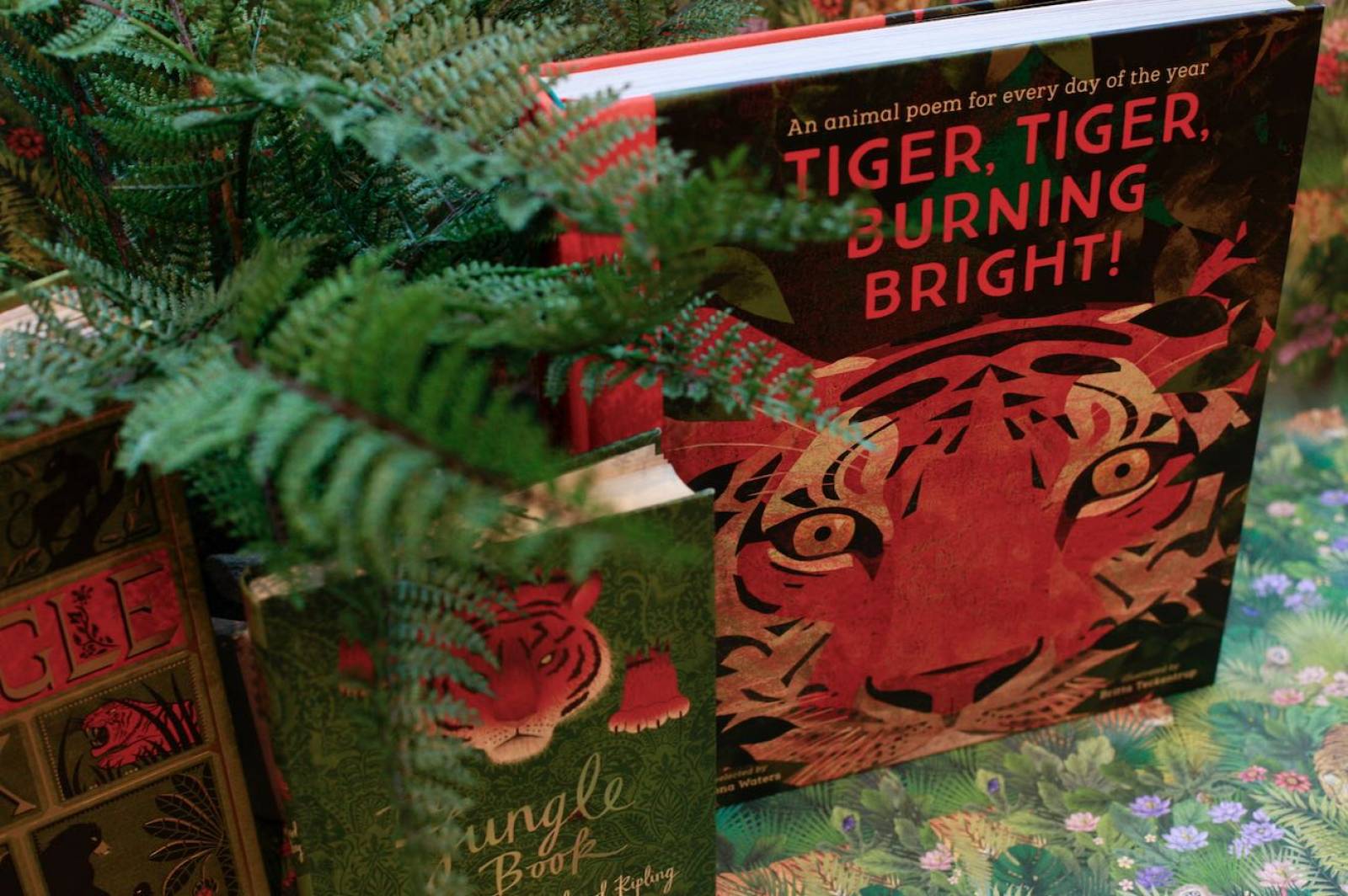 Tiger, Tiger, Burning Bright! (Animal Poems) - Hardback Book thumbnails