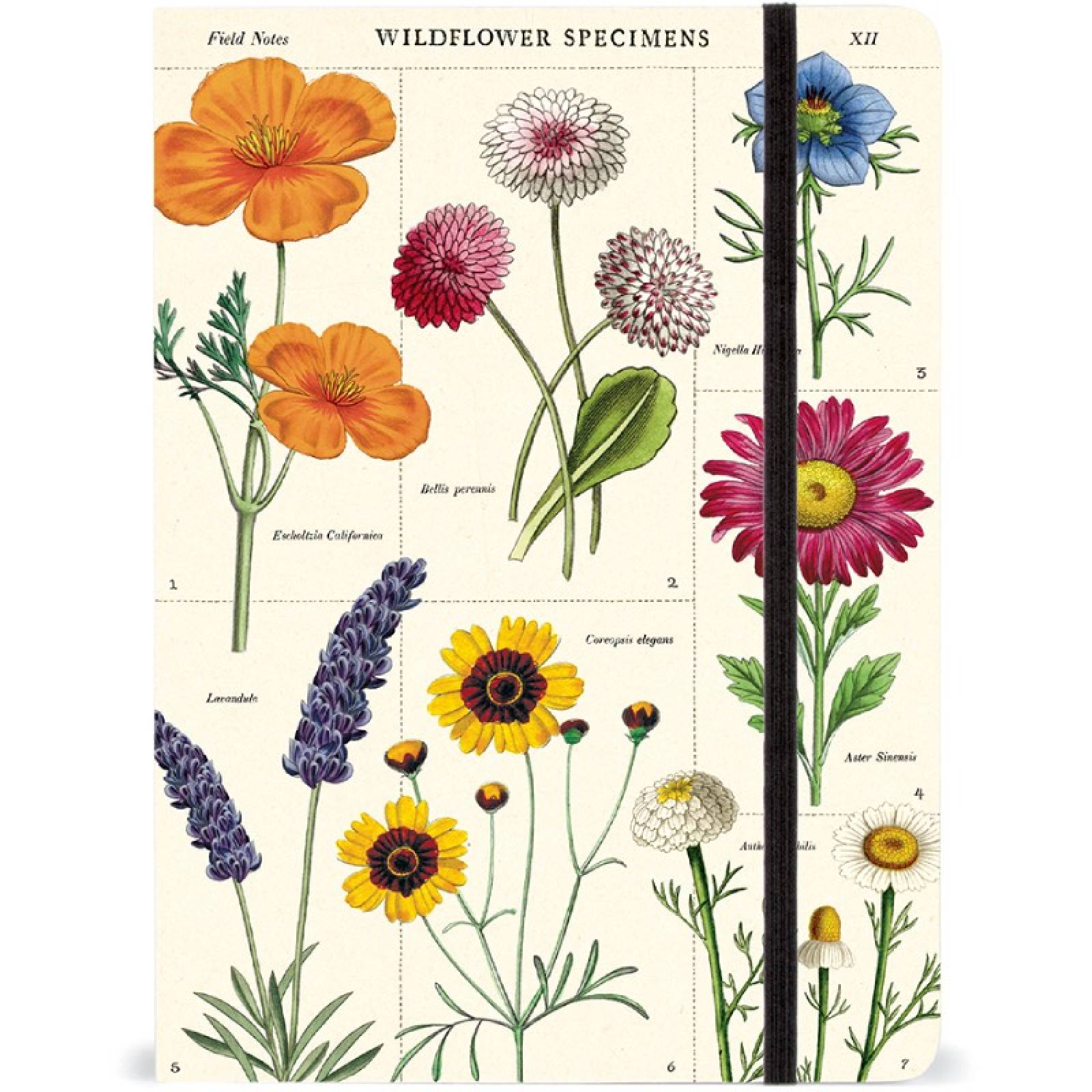 Wildflowers - Large Notebook With Elastic Closure By Cavallini