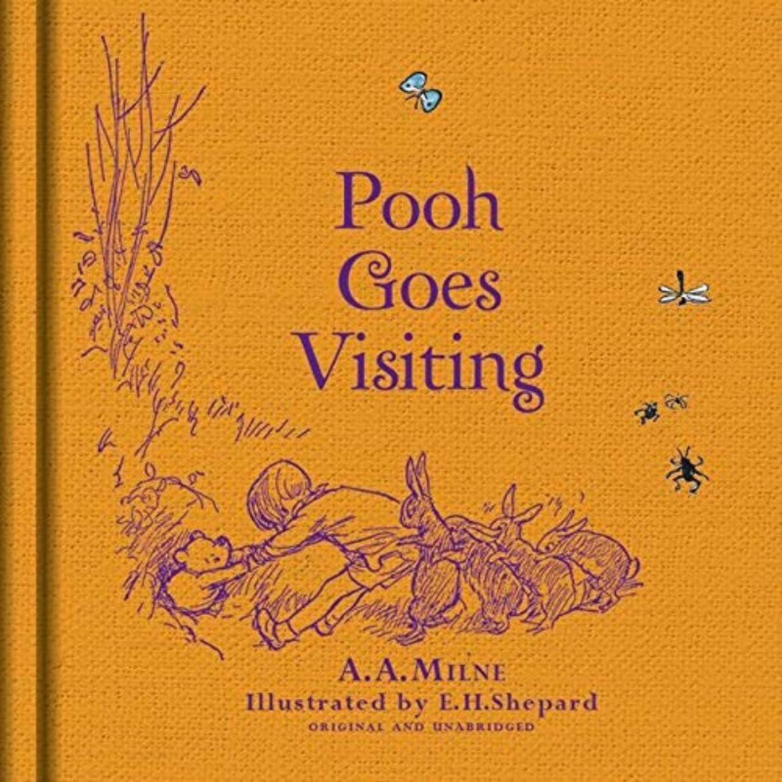 Winnie-the-Pooh: Pooh Goes Visiting - Hardback Book