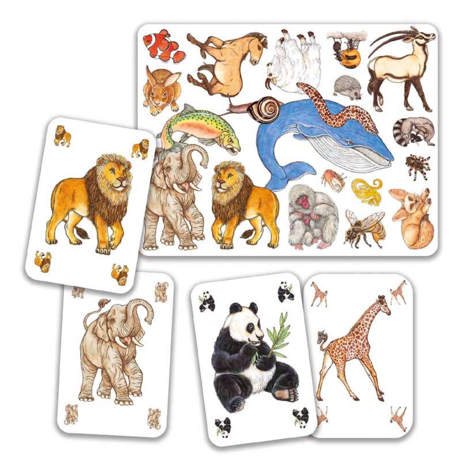 Zanimatch Card Game By Djeco 5+ thumbnails