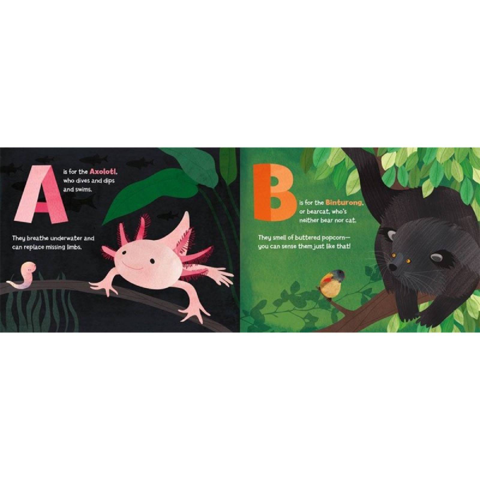 A Is For Axolotl - Hardback Book thumbnails