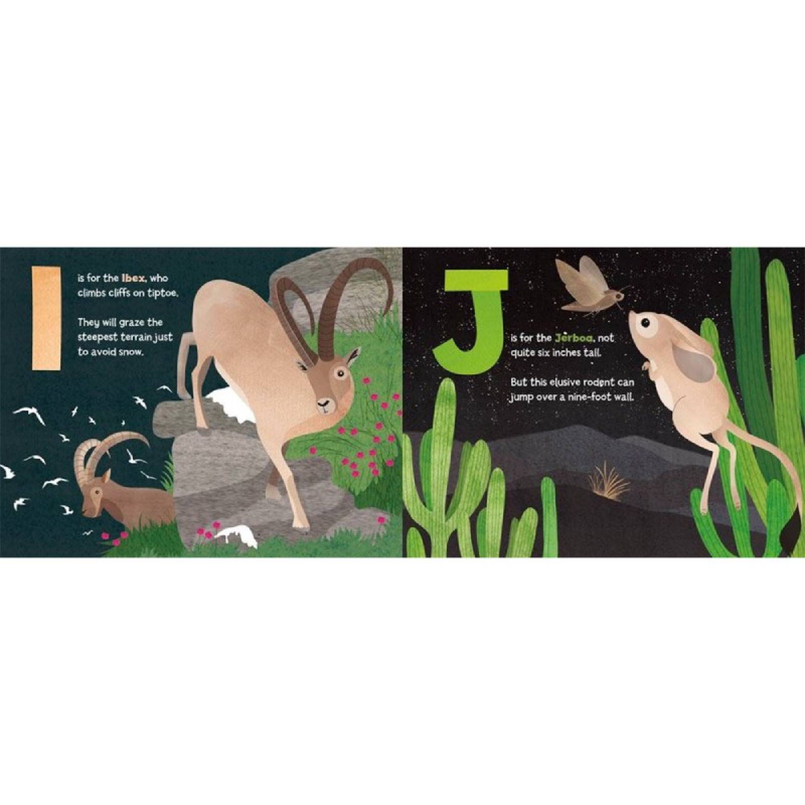 A Is For Axolotl - Hardback Book thumbnails
