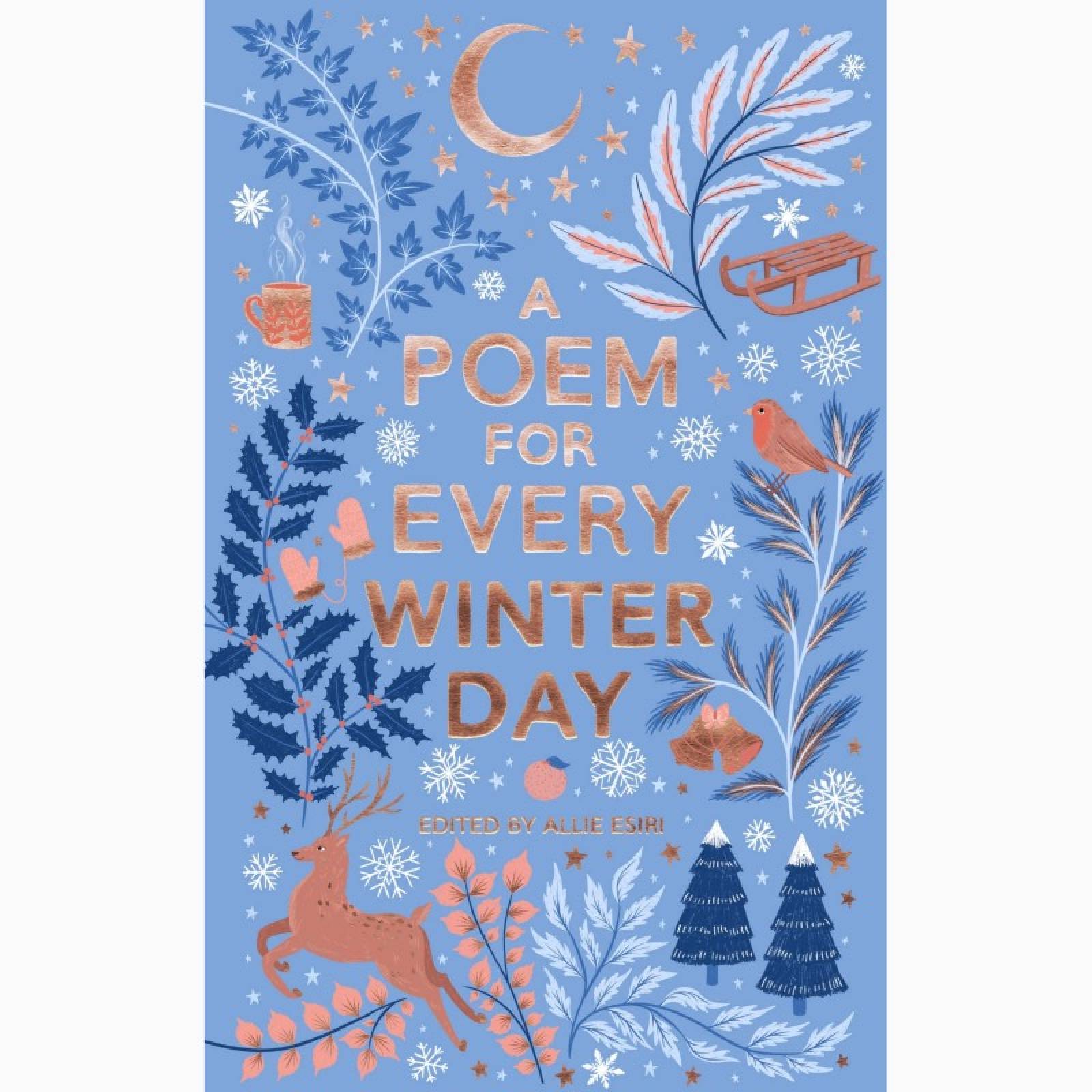 A Poem For Every Winter Day - Paperback Book