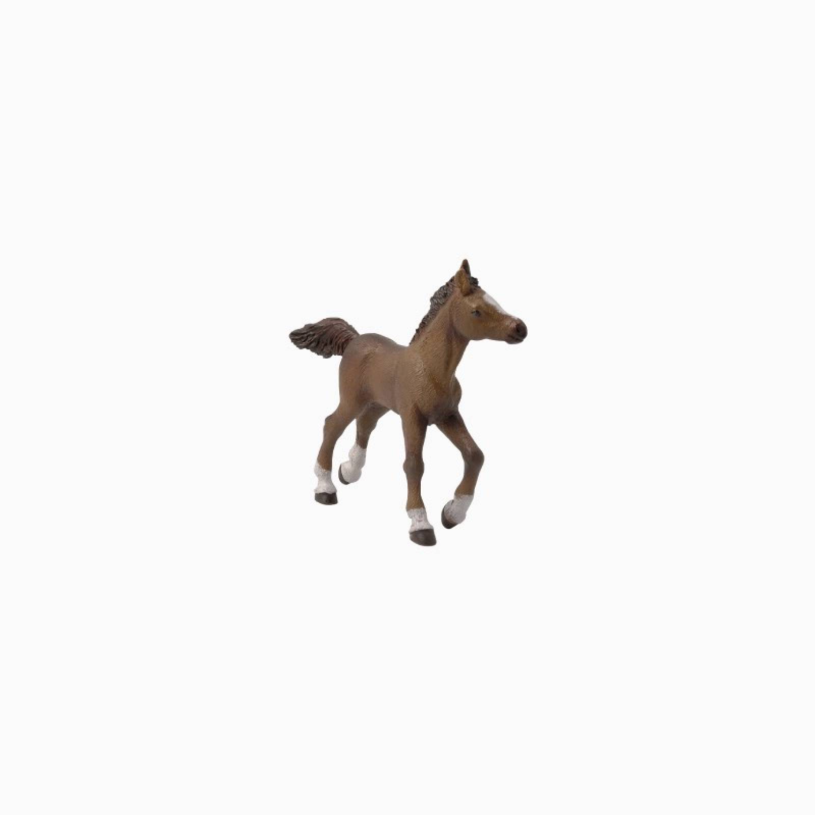 Anglo-Arab Horse Foal - Papo Animal Figure