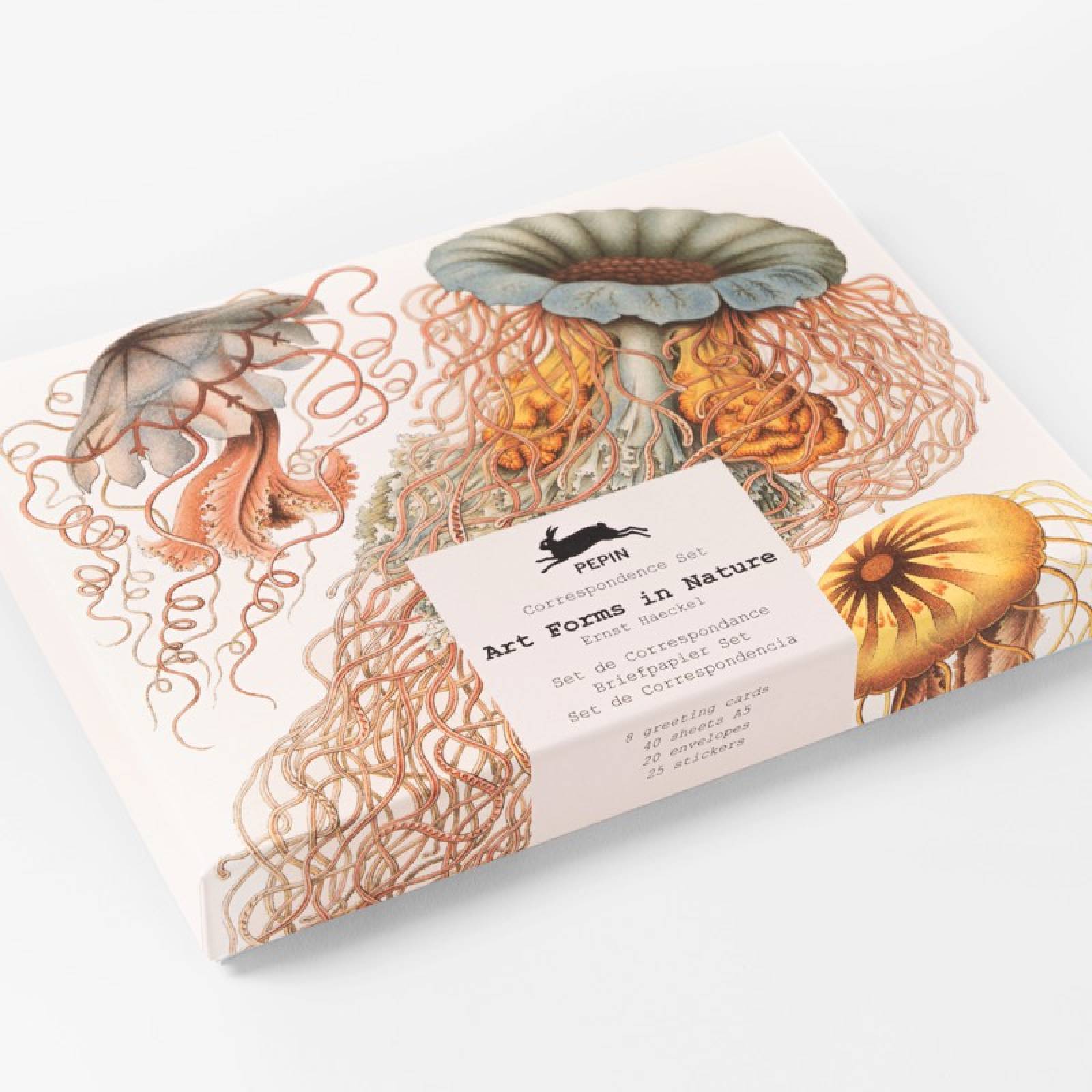 Art Forms In Nature - Correspondence Set