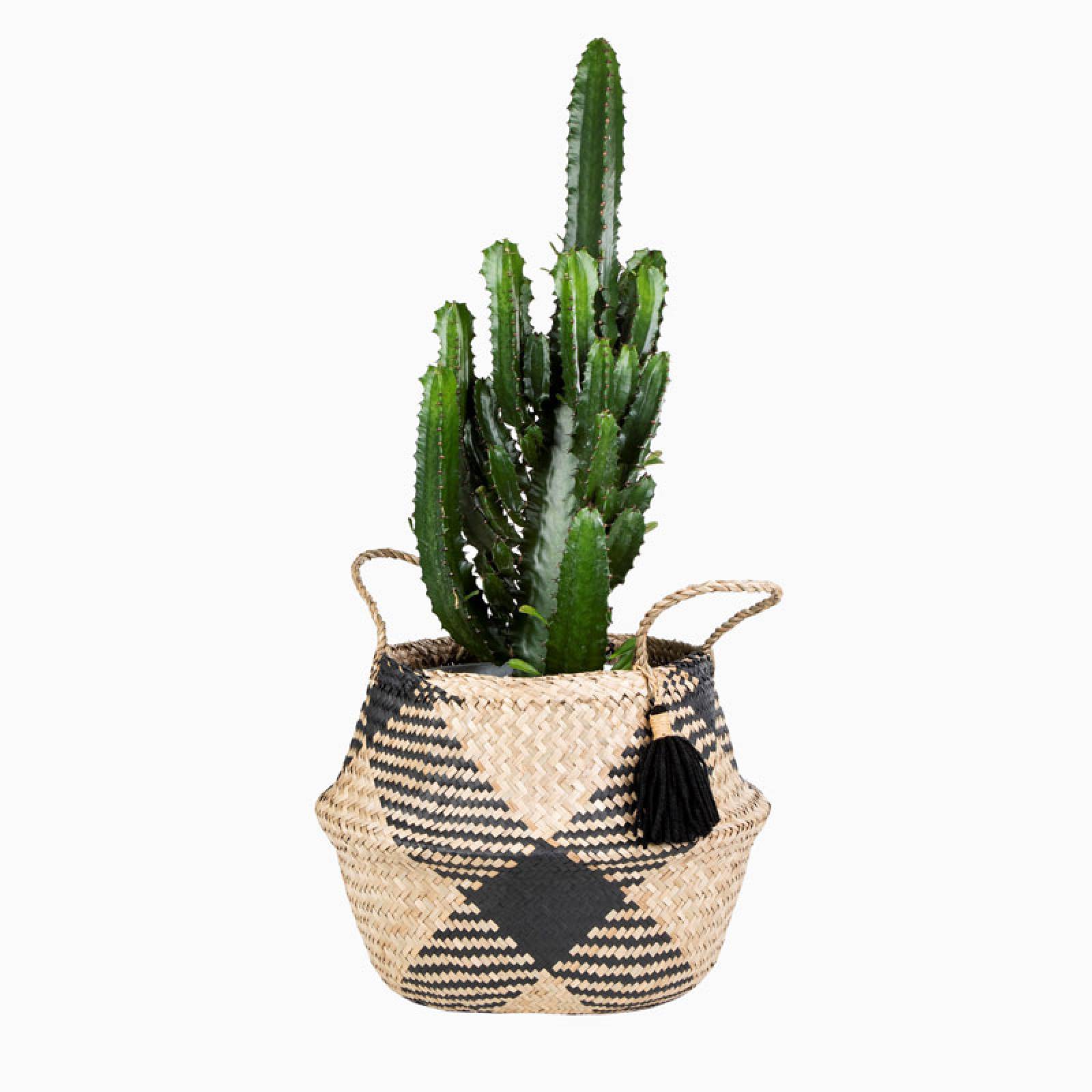 Black And Natural Seagrass Tassle Basket thumbnails