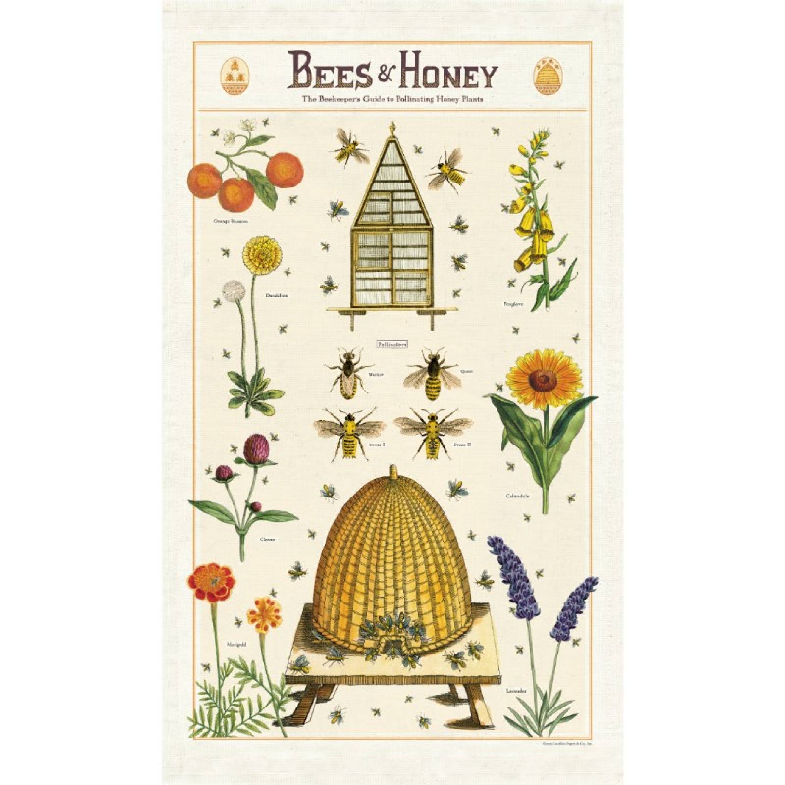Bees & Honey Cotton Tea Towel With Gift Bag