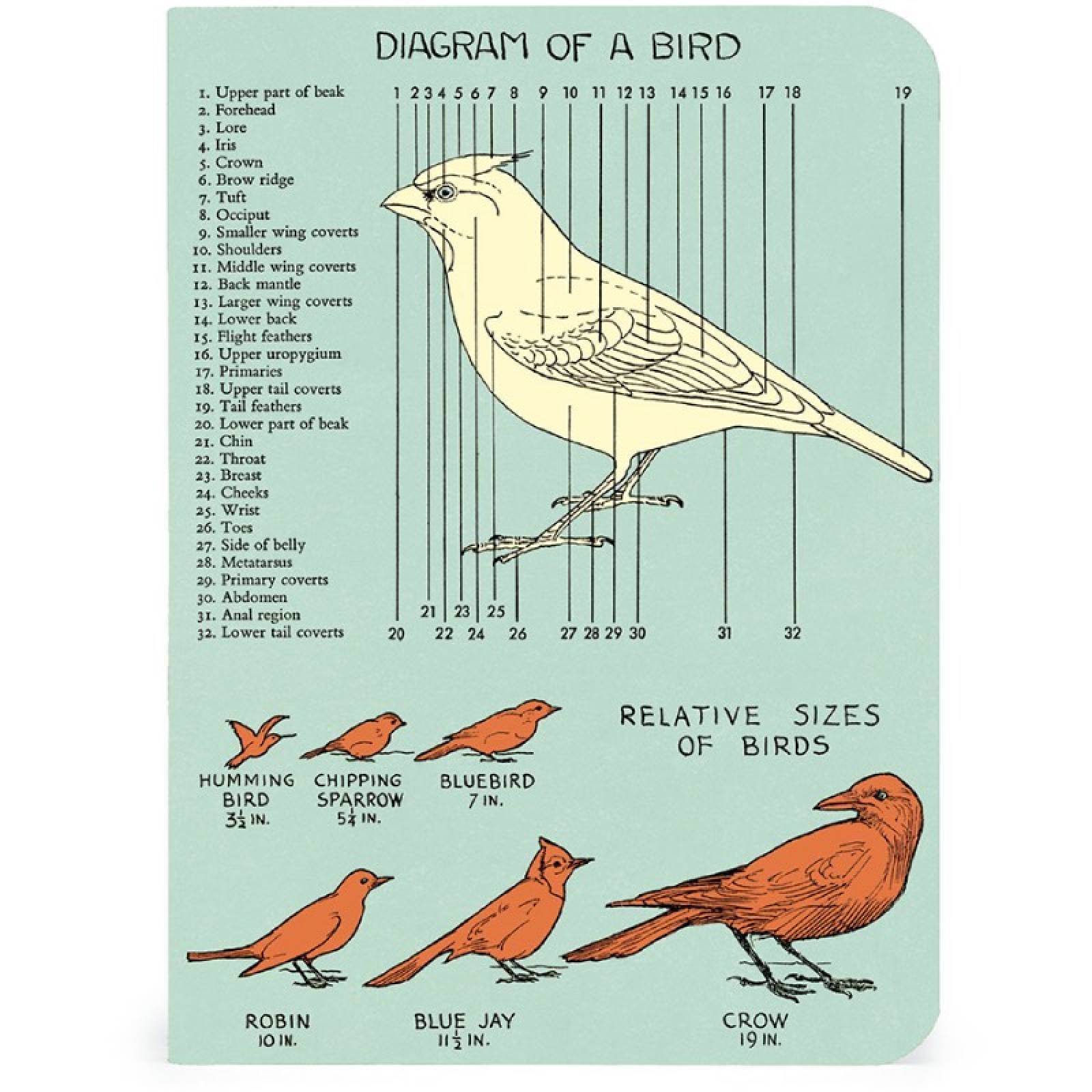 Bird Watching - Set Of 3 Mini Notebooks thumbnails