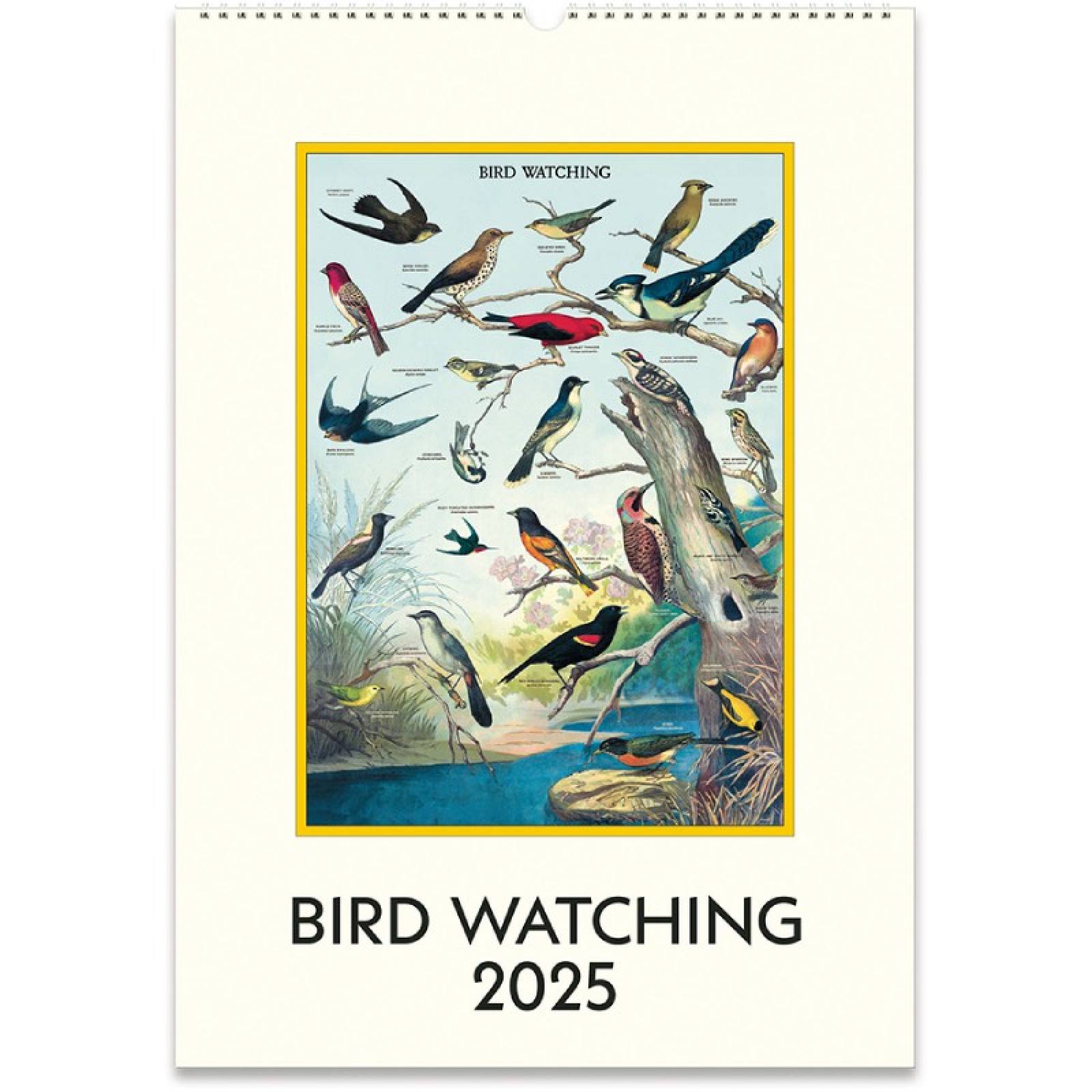 Bird Watching Wall Calendar by Cavallini 2025