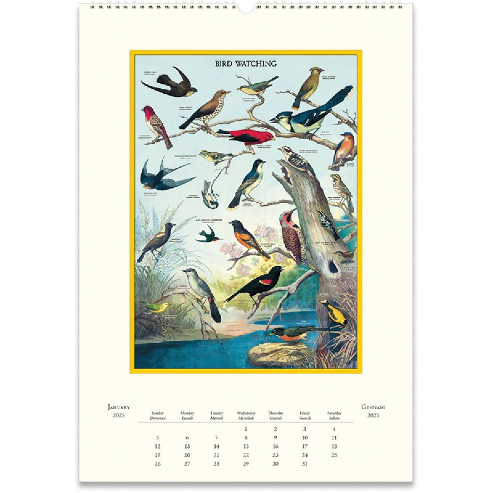 Bird Watching Wall Calendar by Cavallini 2025 thumbnails