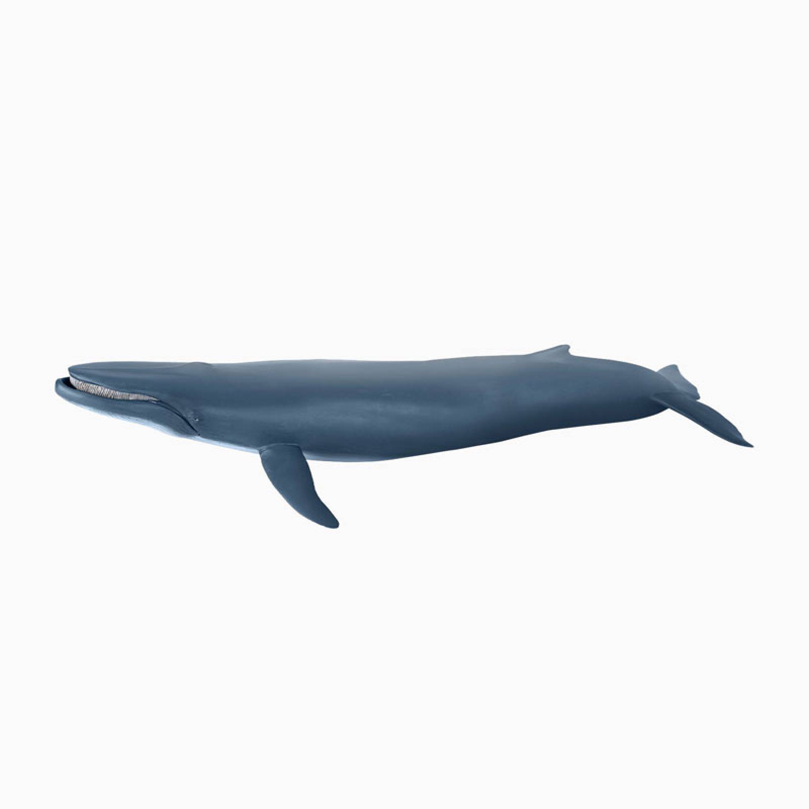 Blue Whale - Papo Wild Animal Figure