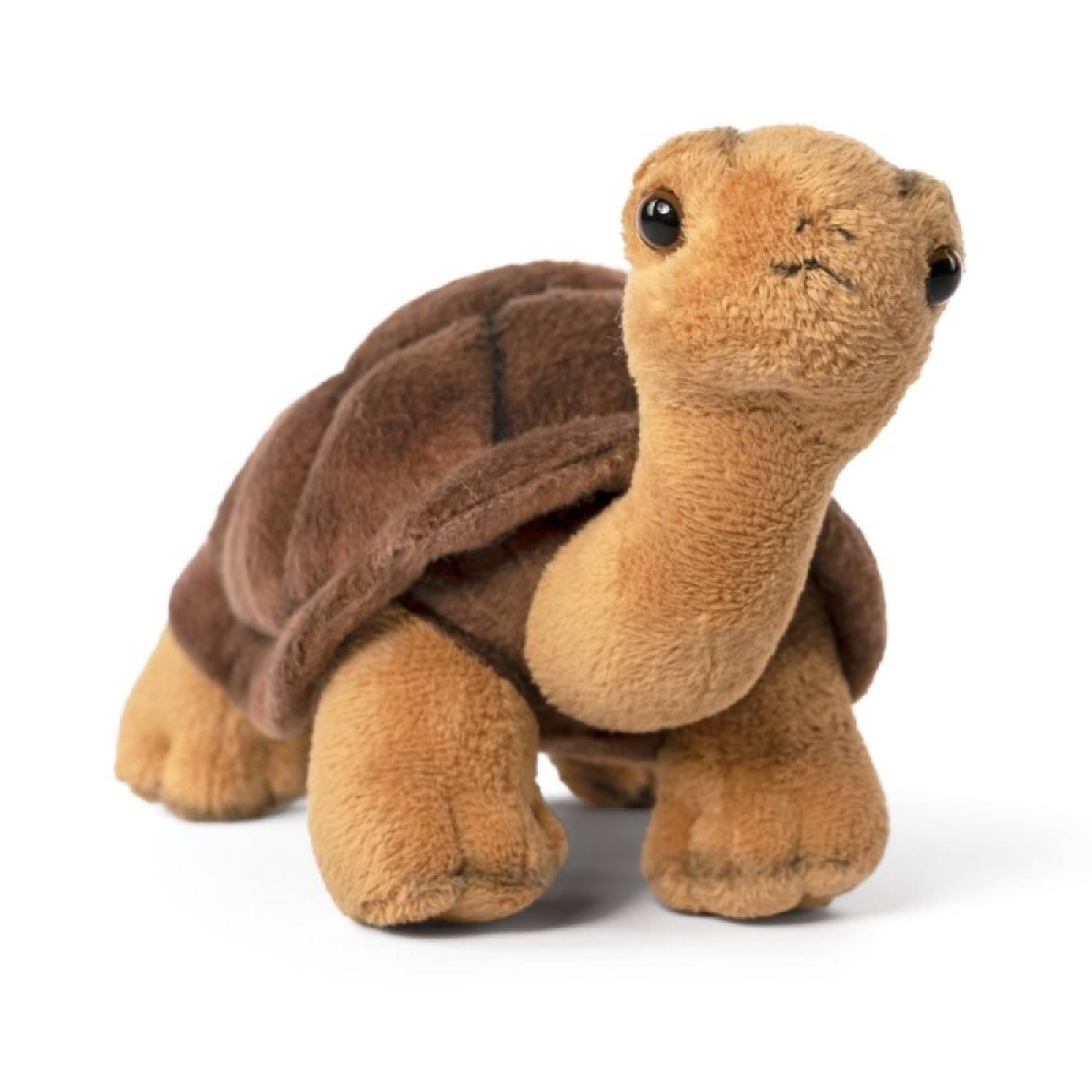 Brown Tortoise Soft Toy 0+