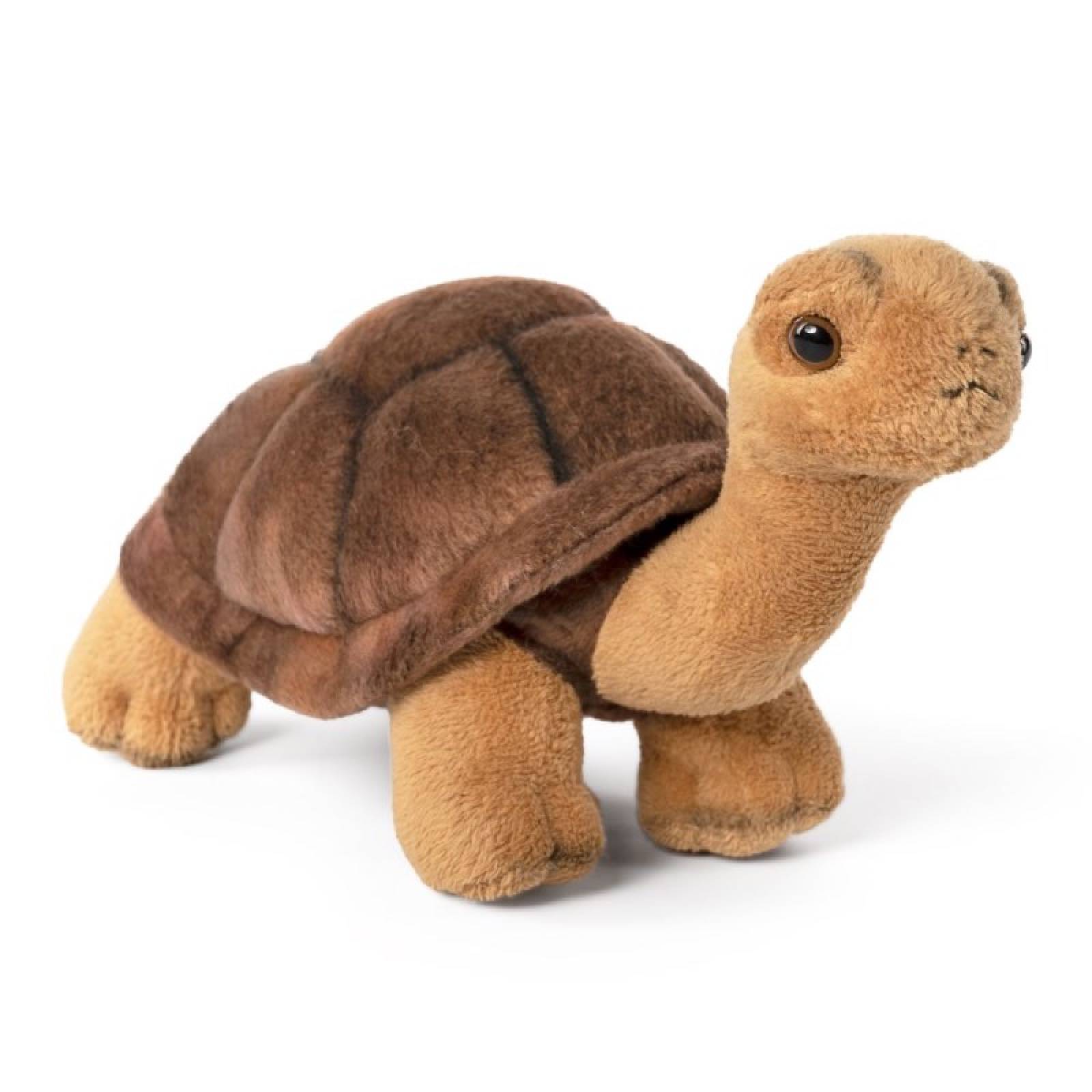 Brown Tortoise Soft Toy 0+ thumbnails