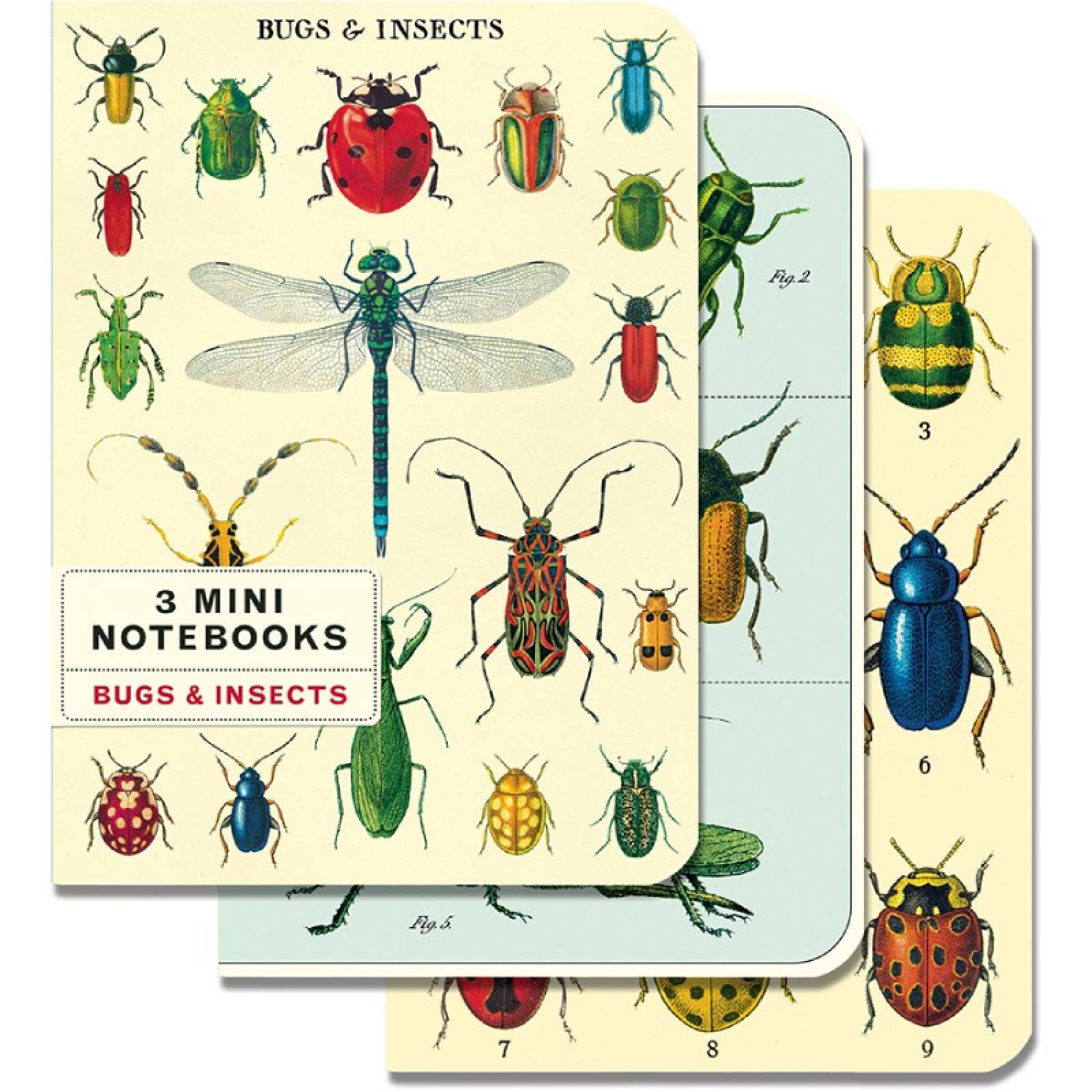 Bugs & Insects - Set Of 3 Mini Notebooks