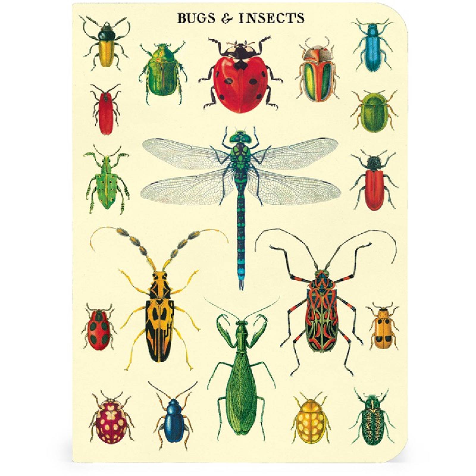 Bugs & Insects - Set Of 3 Mini Notebooks thumbnails