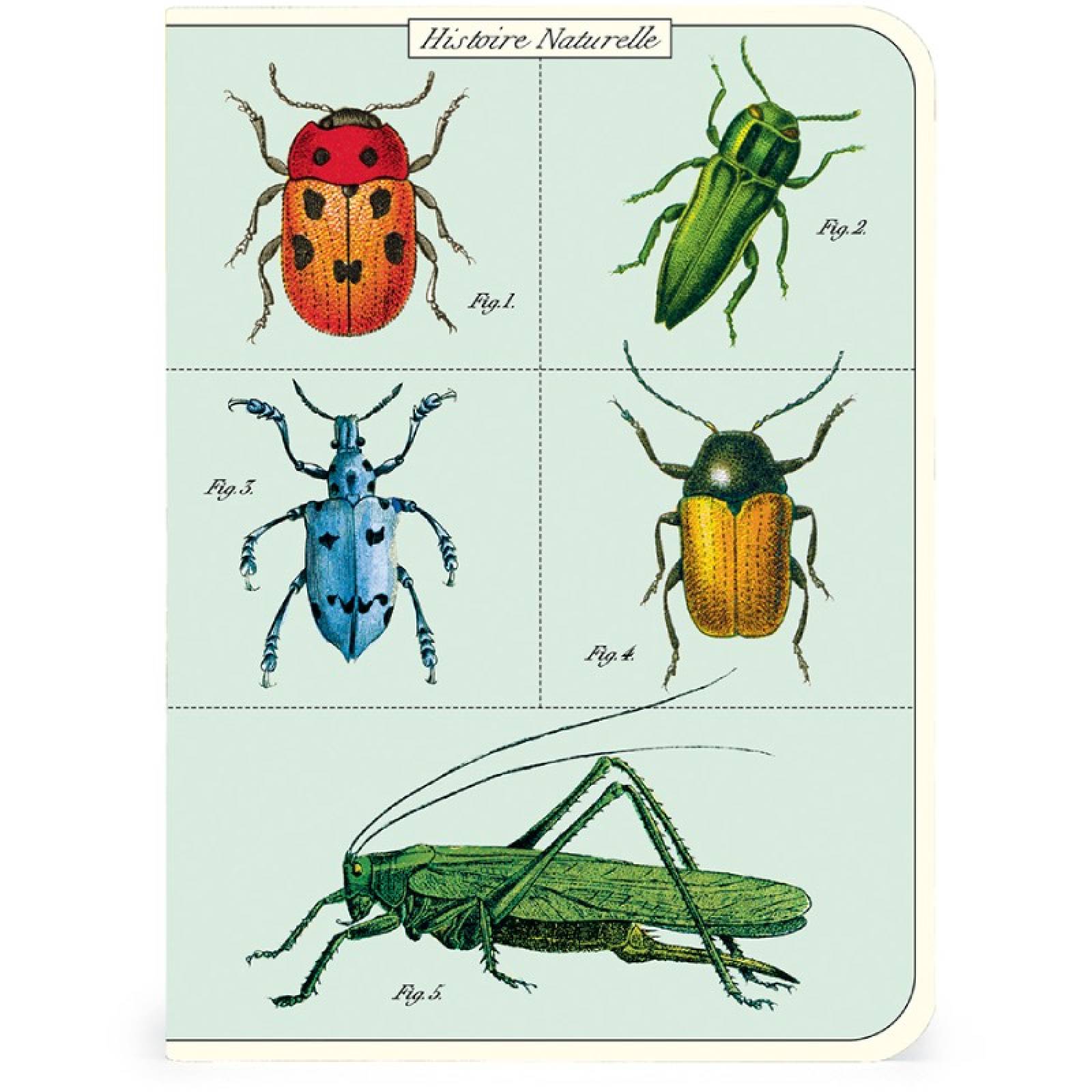 Bugs & Insects - Set Of 3 Mini Notebooks thumbnails