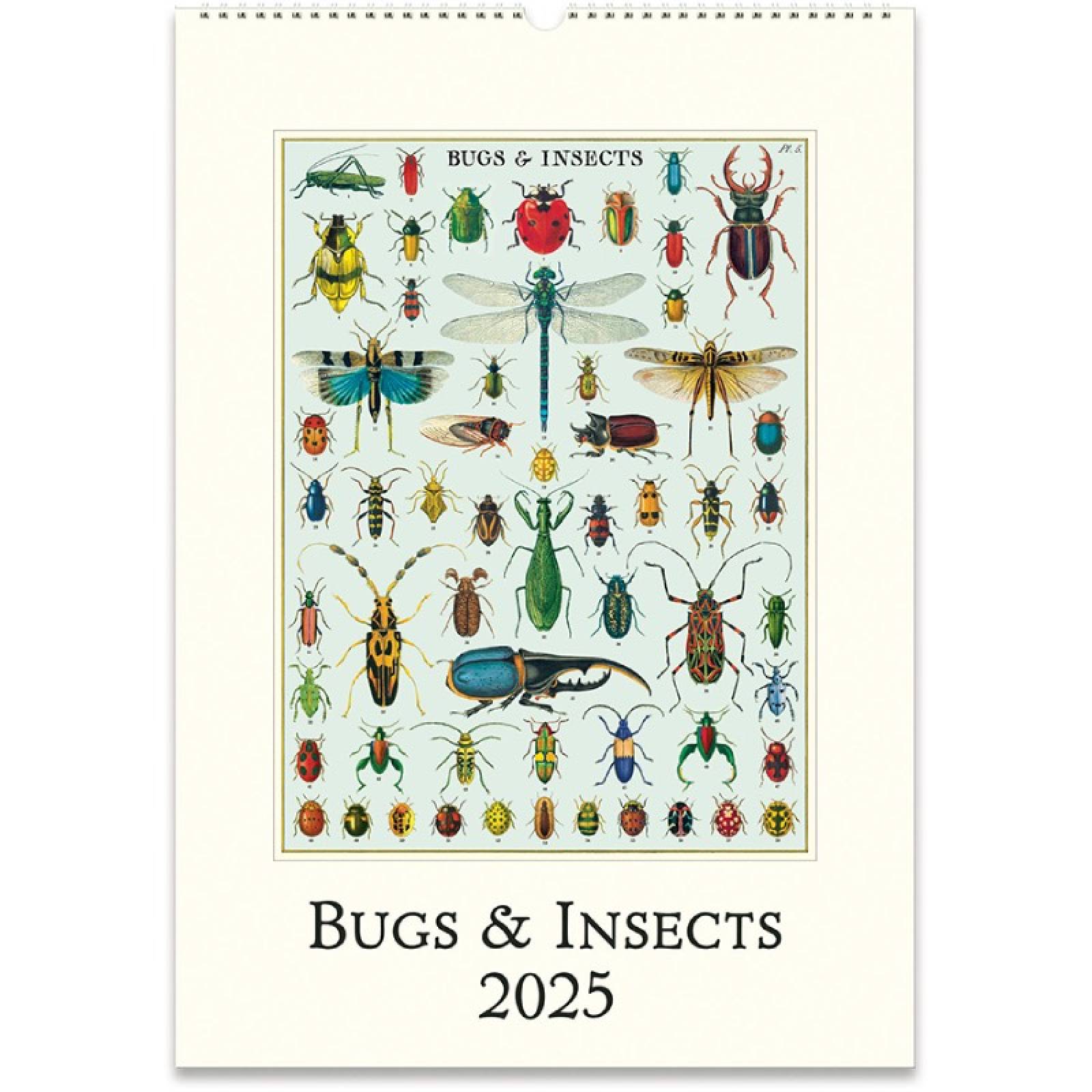 Bugs & Insects Wall Calendar By Cavallini 2025